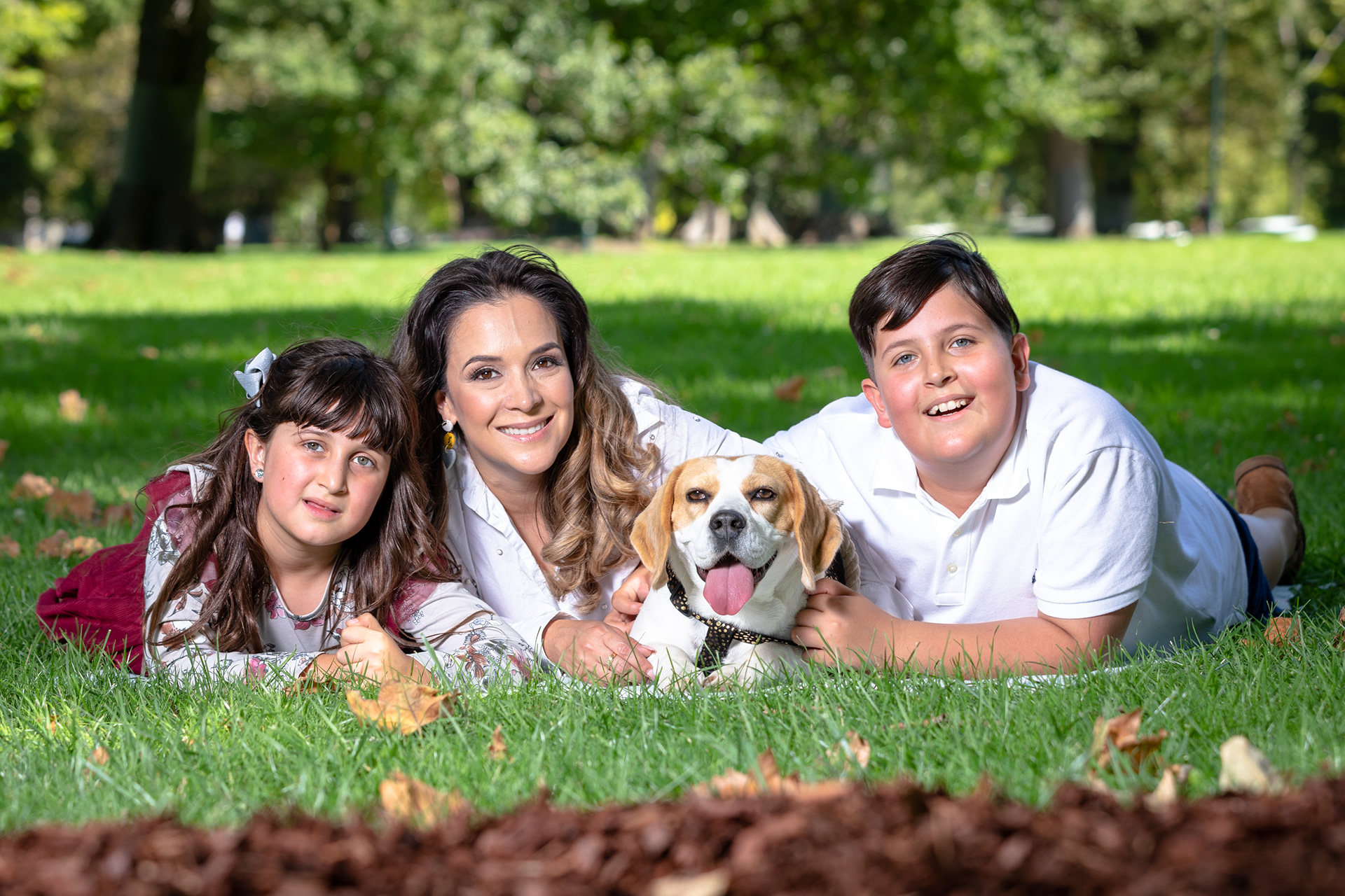 Family lying together on a blanket in the park