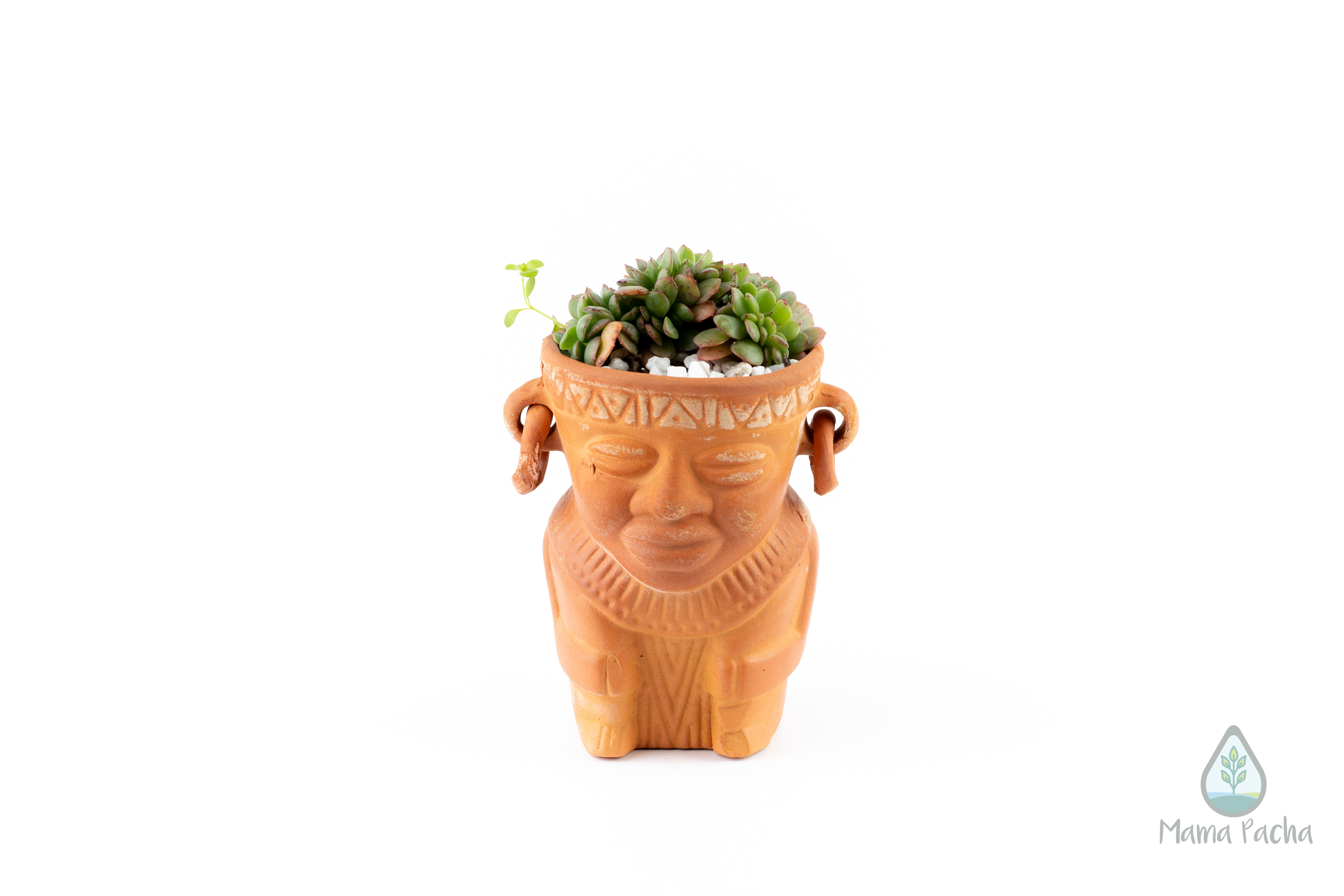 Small plant in a decorative sculpted face planter