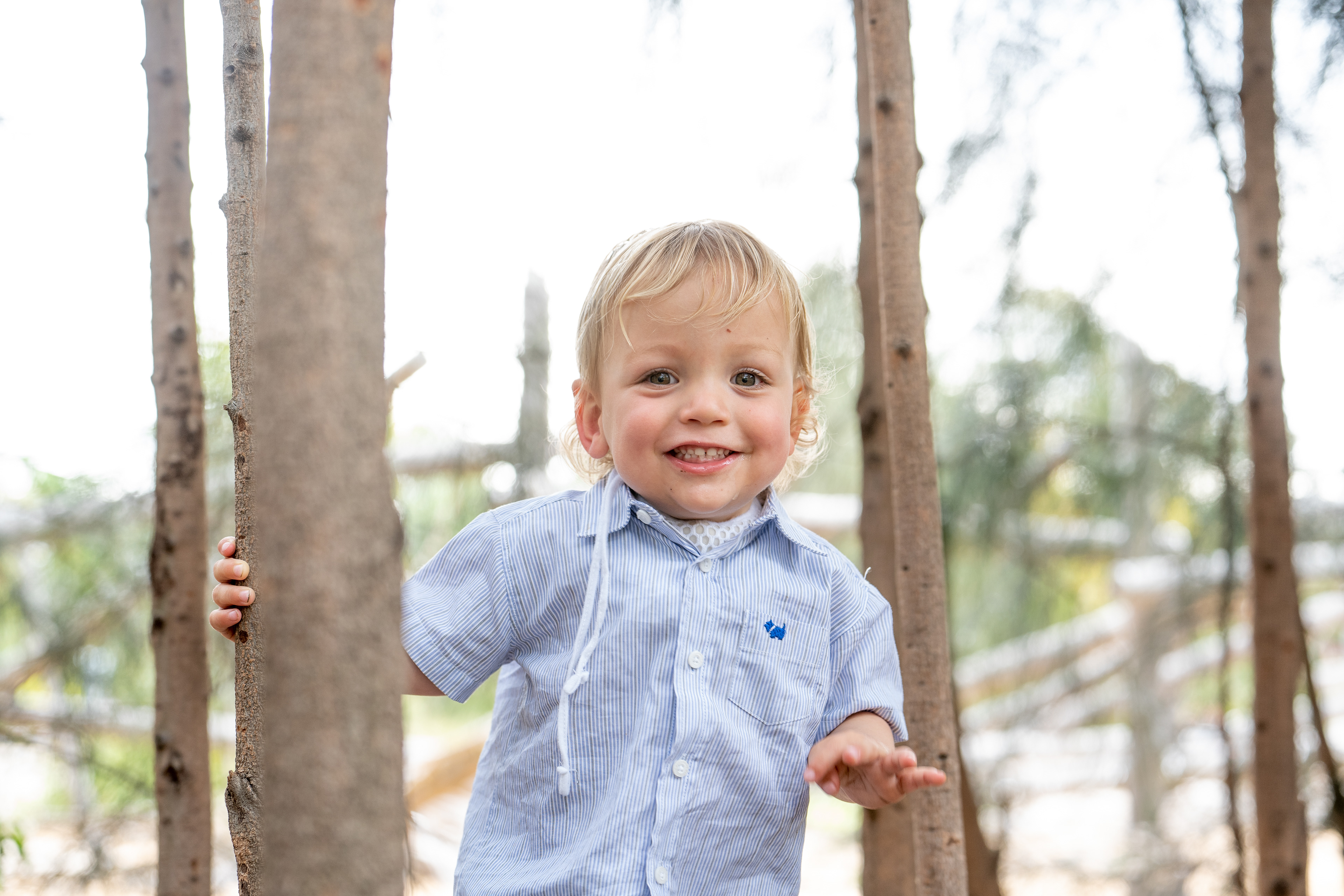 Child standing beside a tree in soft sunlight
