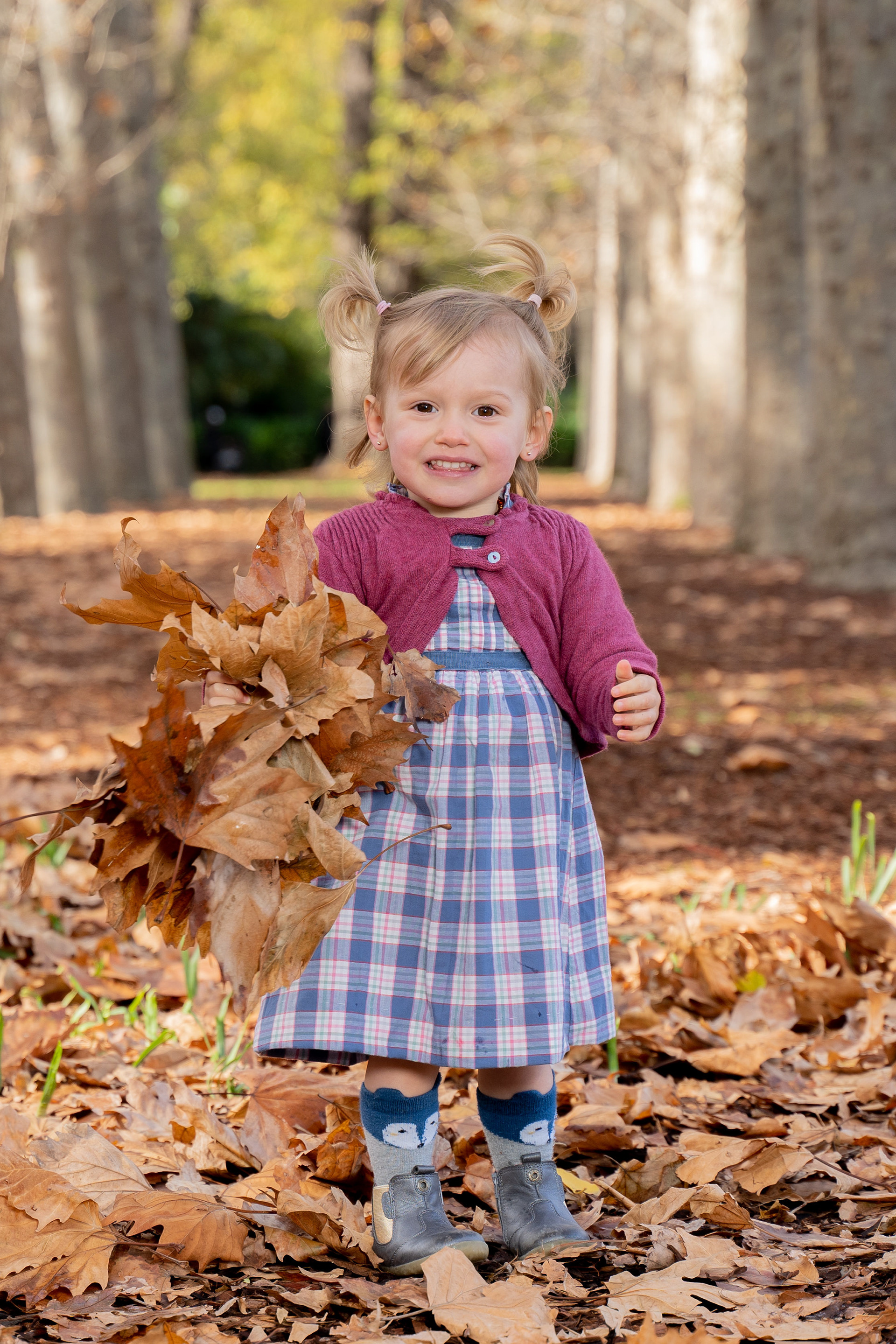 Toddler standing among fallen autumn leaves