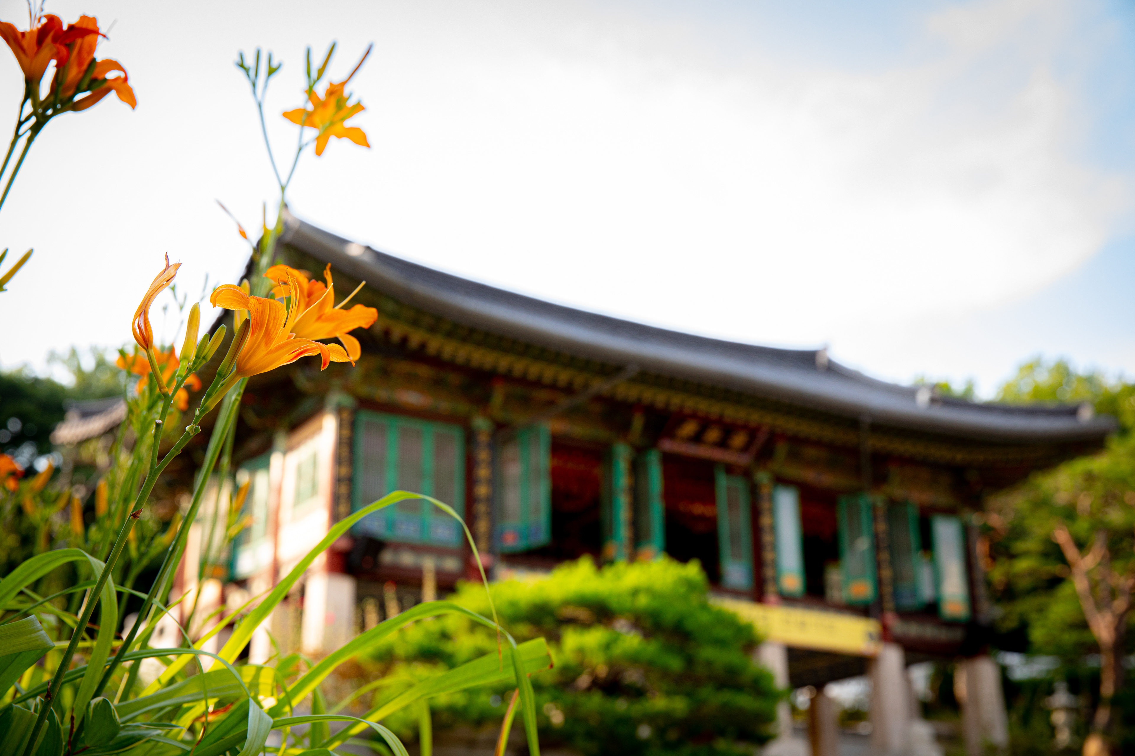 Flowers in front of a traditional temple roof