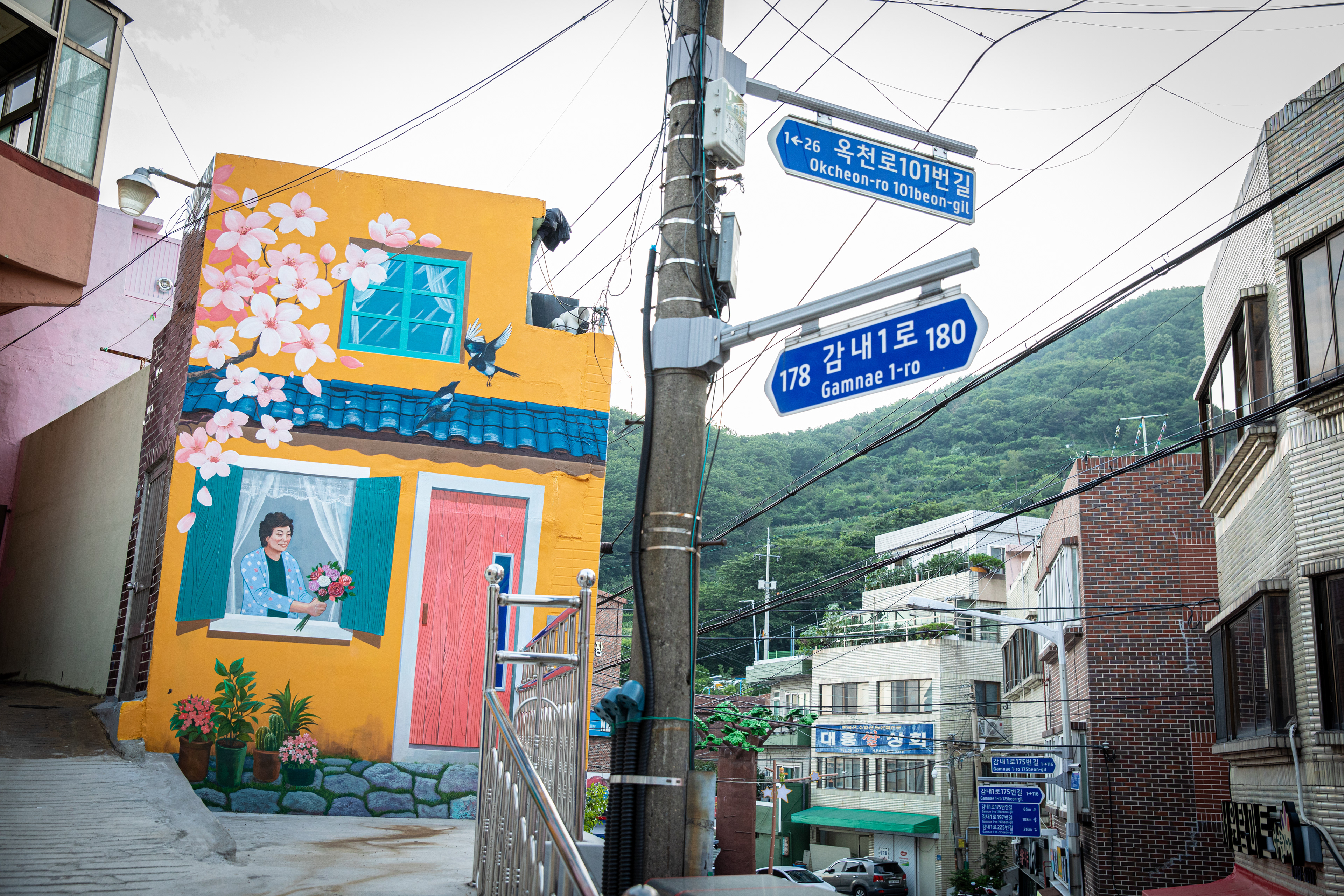 Colourful buildings and street signs in a hillside neighbourhood