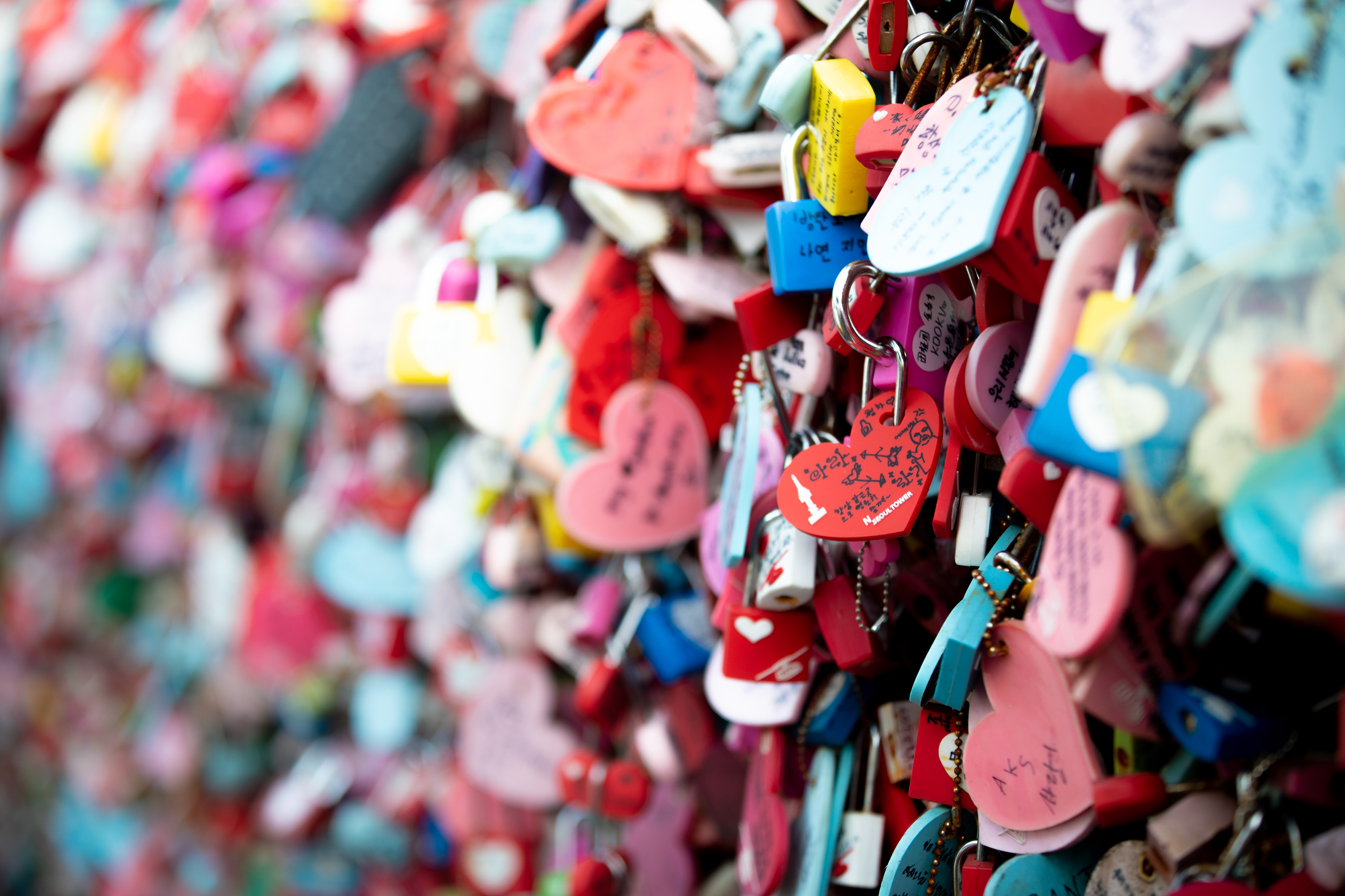 Close-up of heart-shaped padlocks