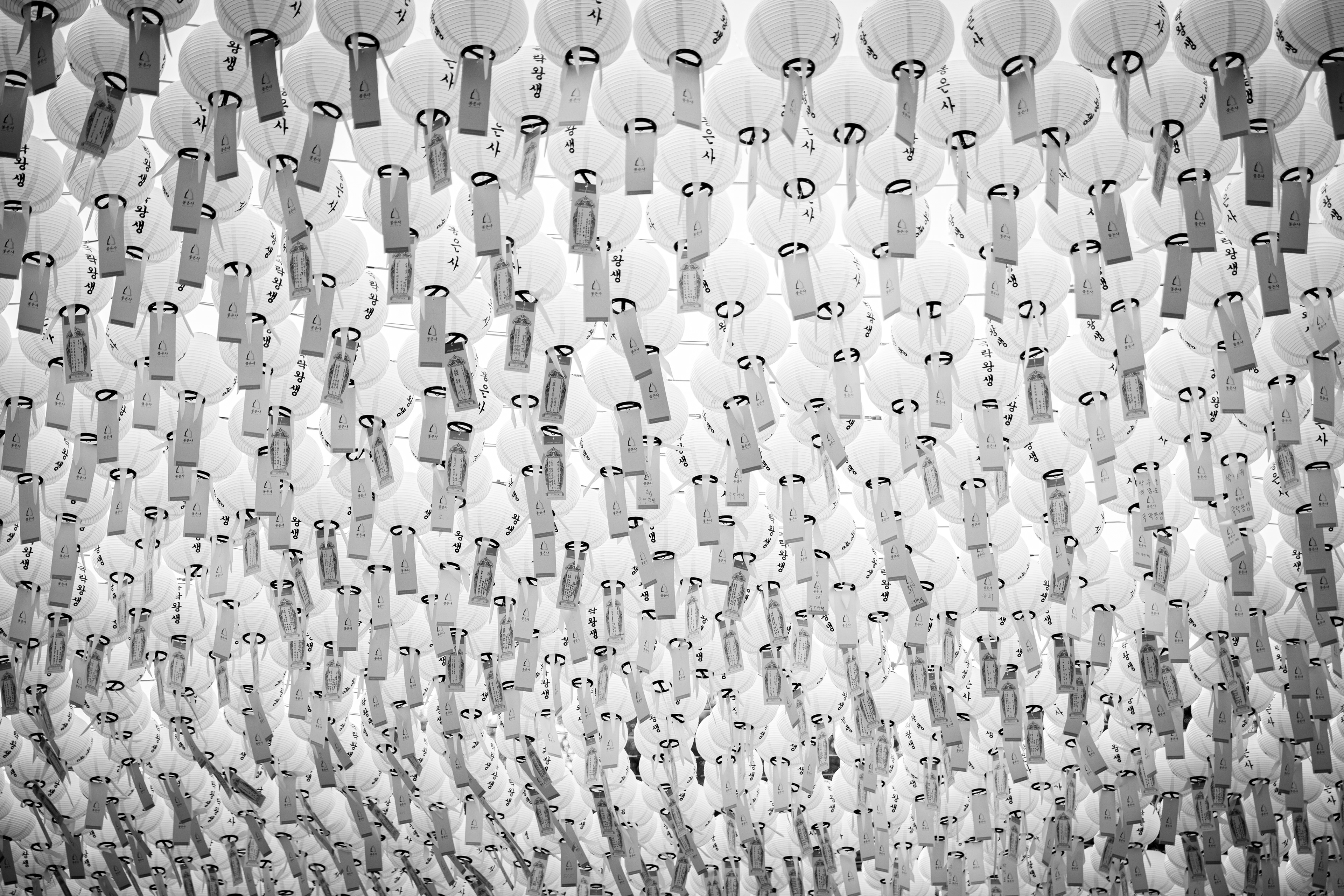 Black-and-white view of hanging lanterns
