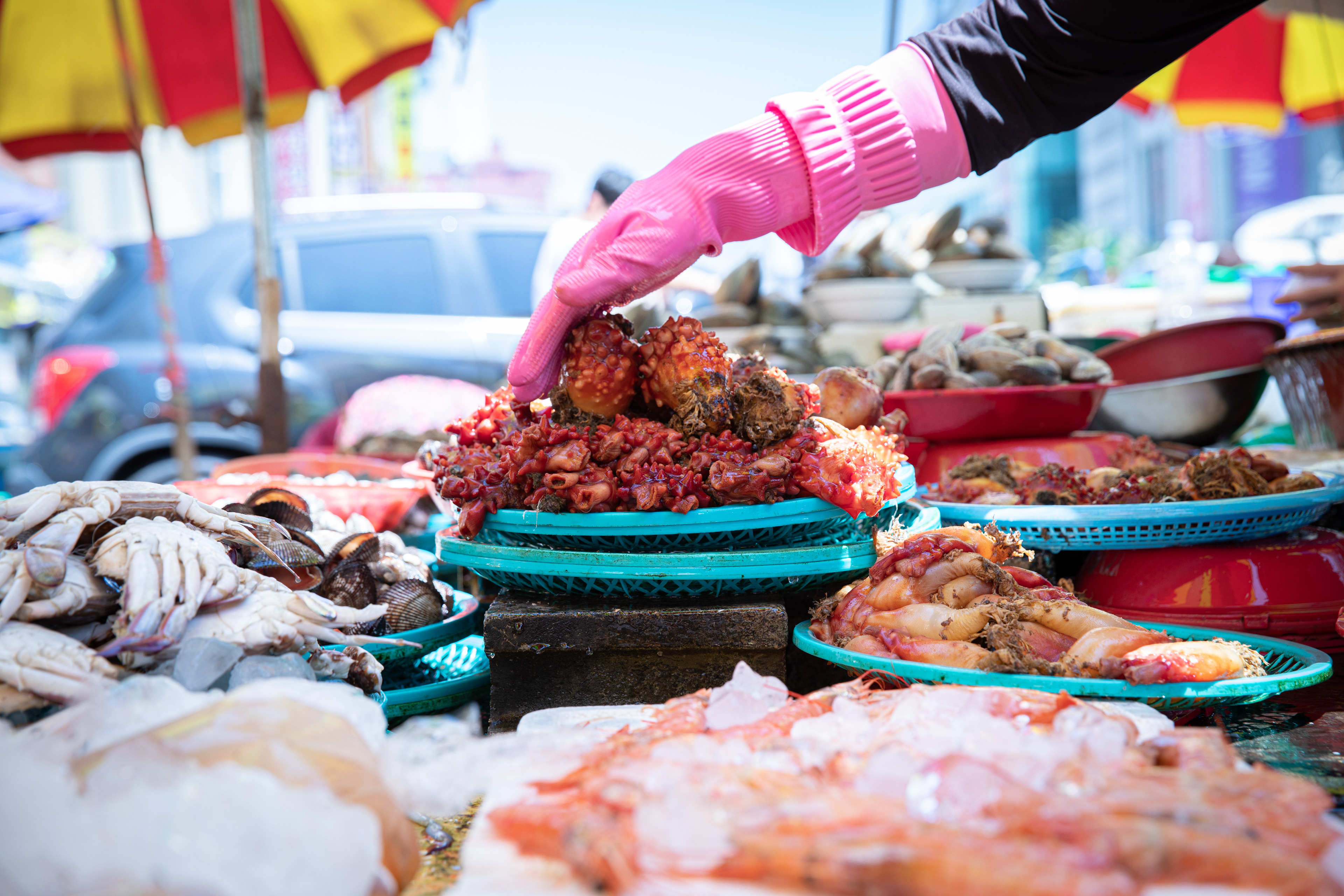 Gloved hand arranging seafood at a market stall
