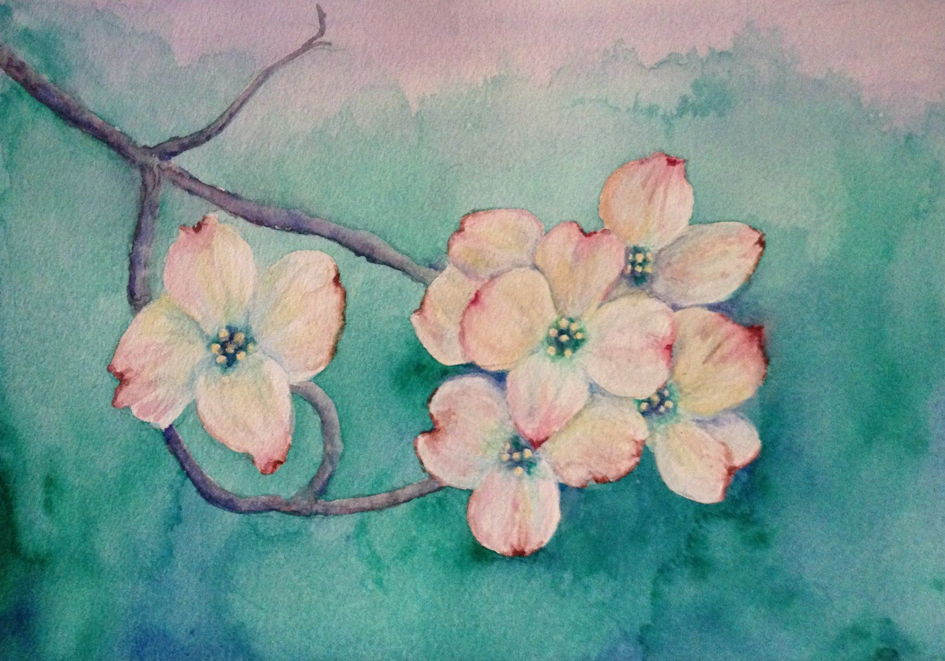 Dogwood Flowers