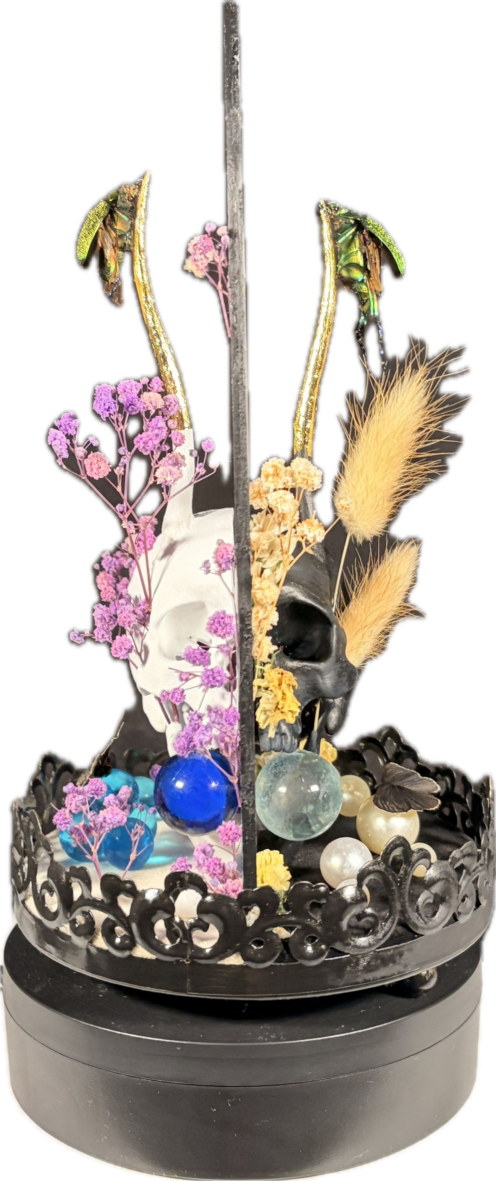 Dualidad del espíritu