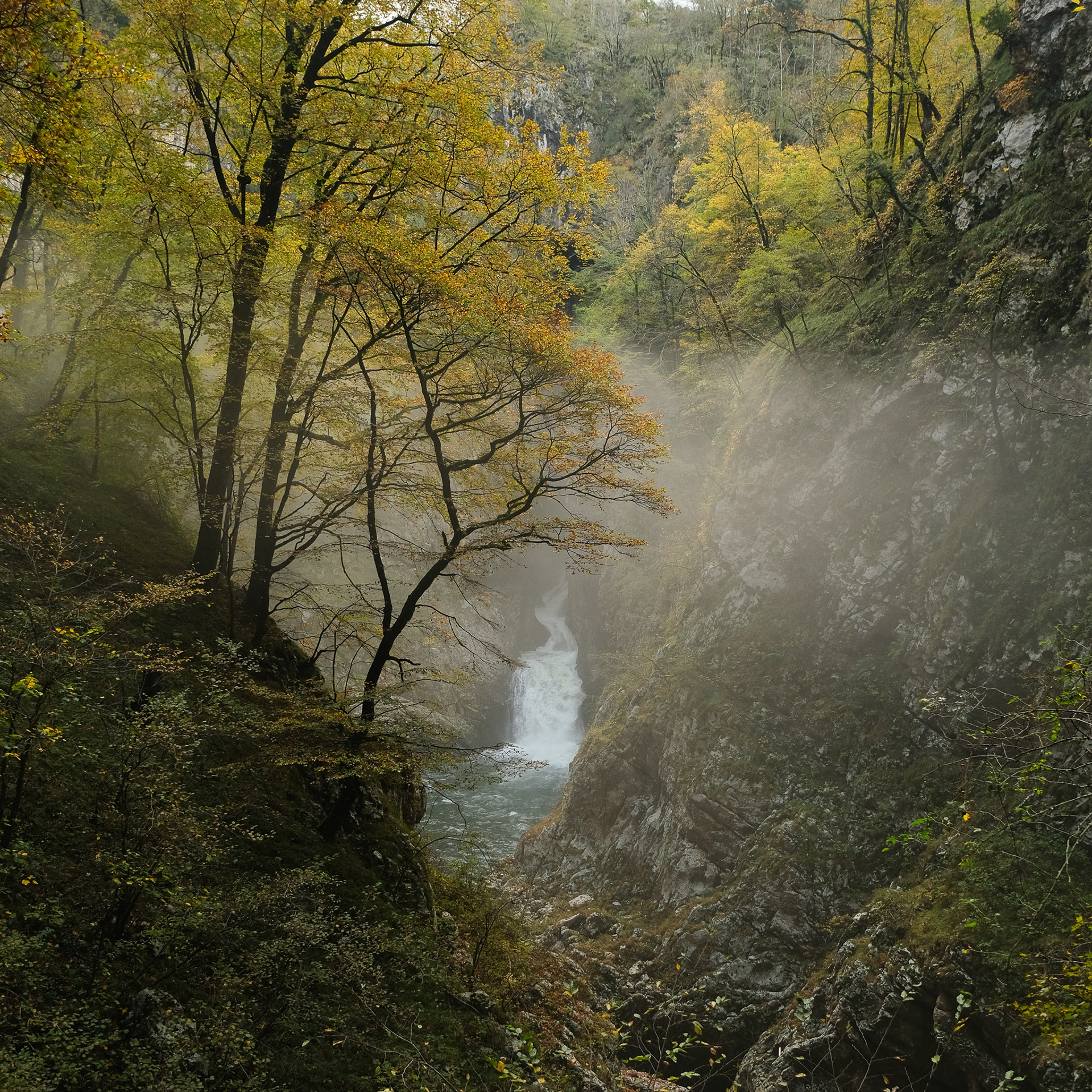 Škocjan Caves, Slovenia, 2024