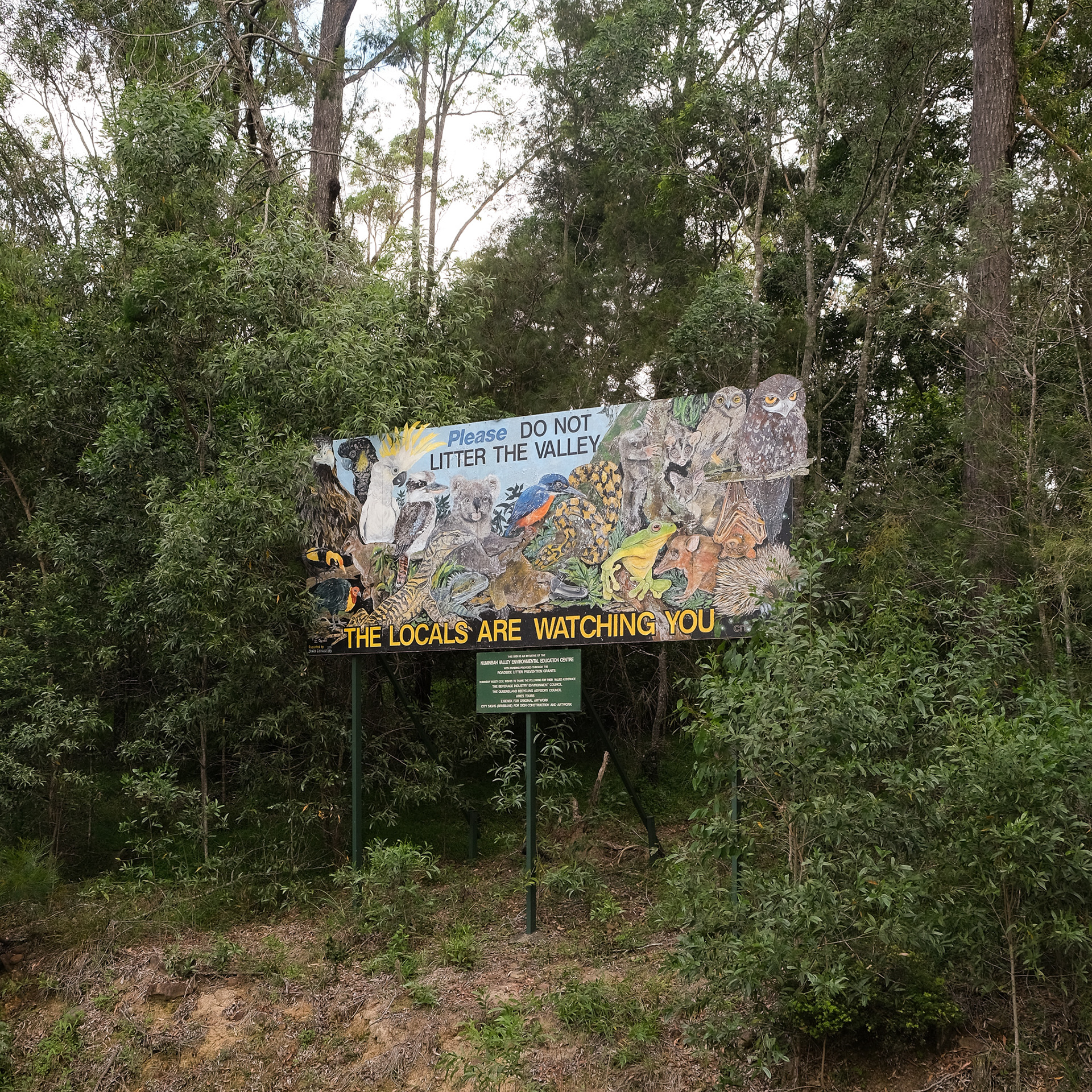 Numinbah Valley, 2025
