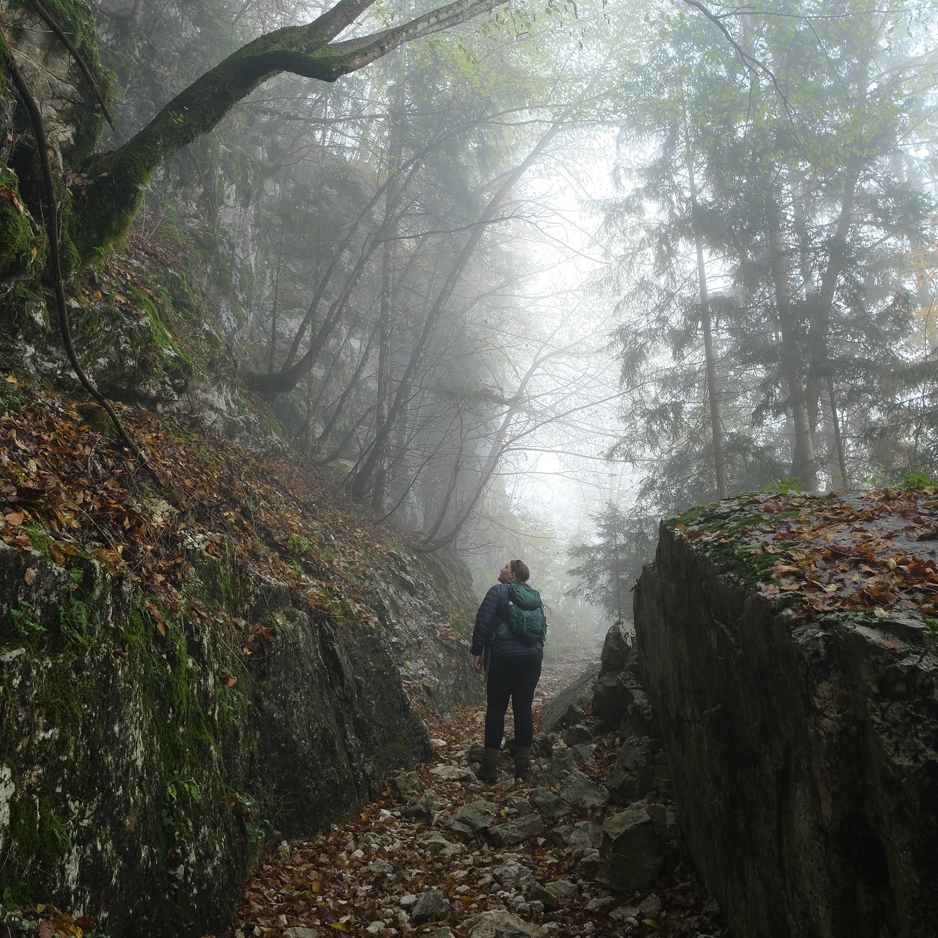 triglav national park