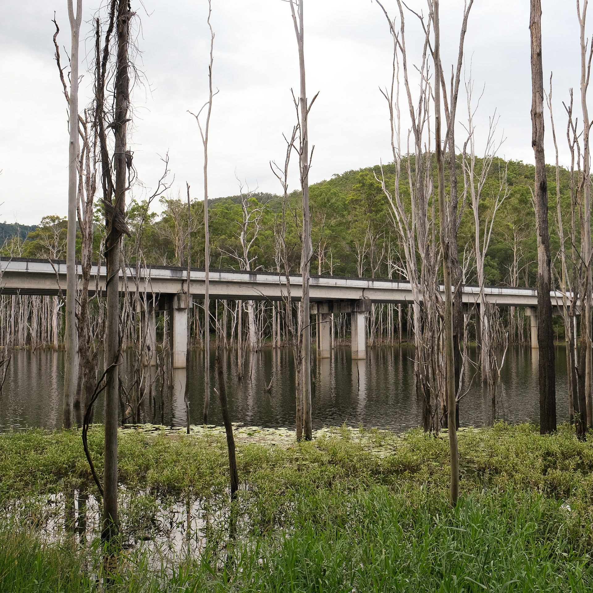 Numinbah Valley, 2025