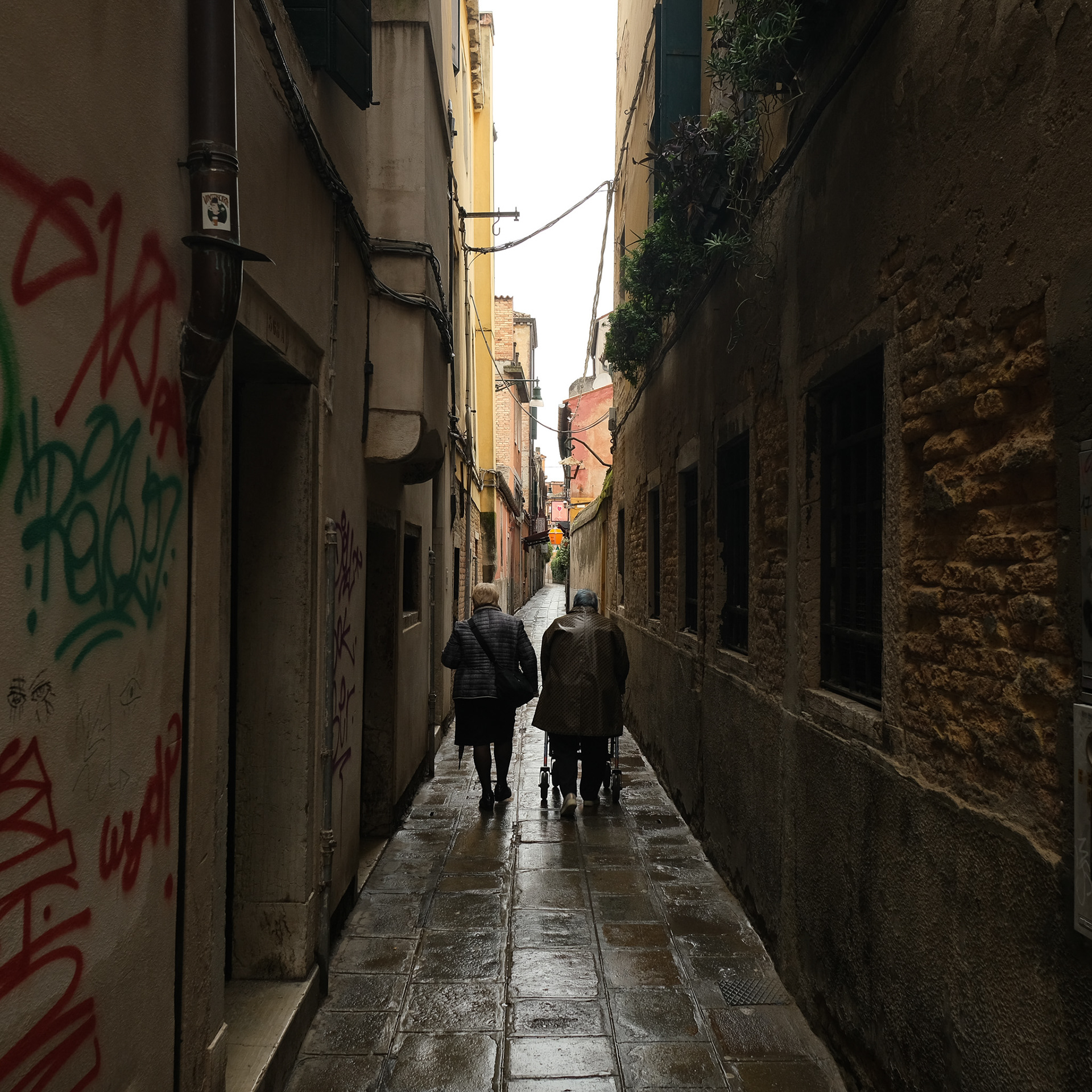 Venice, 2024
