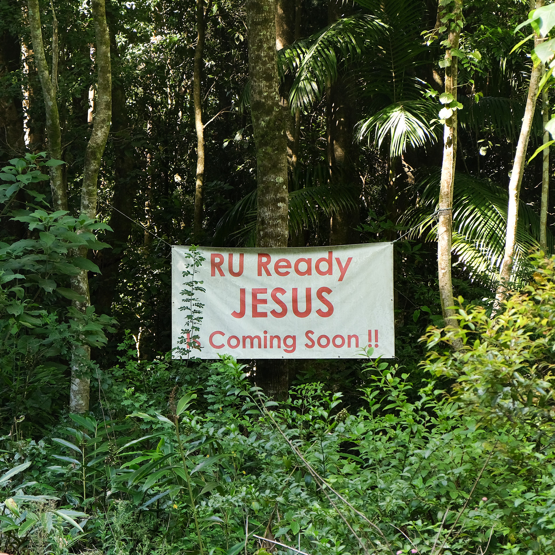 Numinbah Valley, 2025