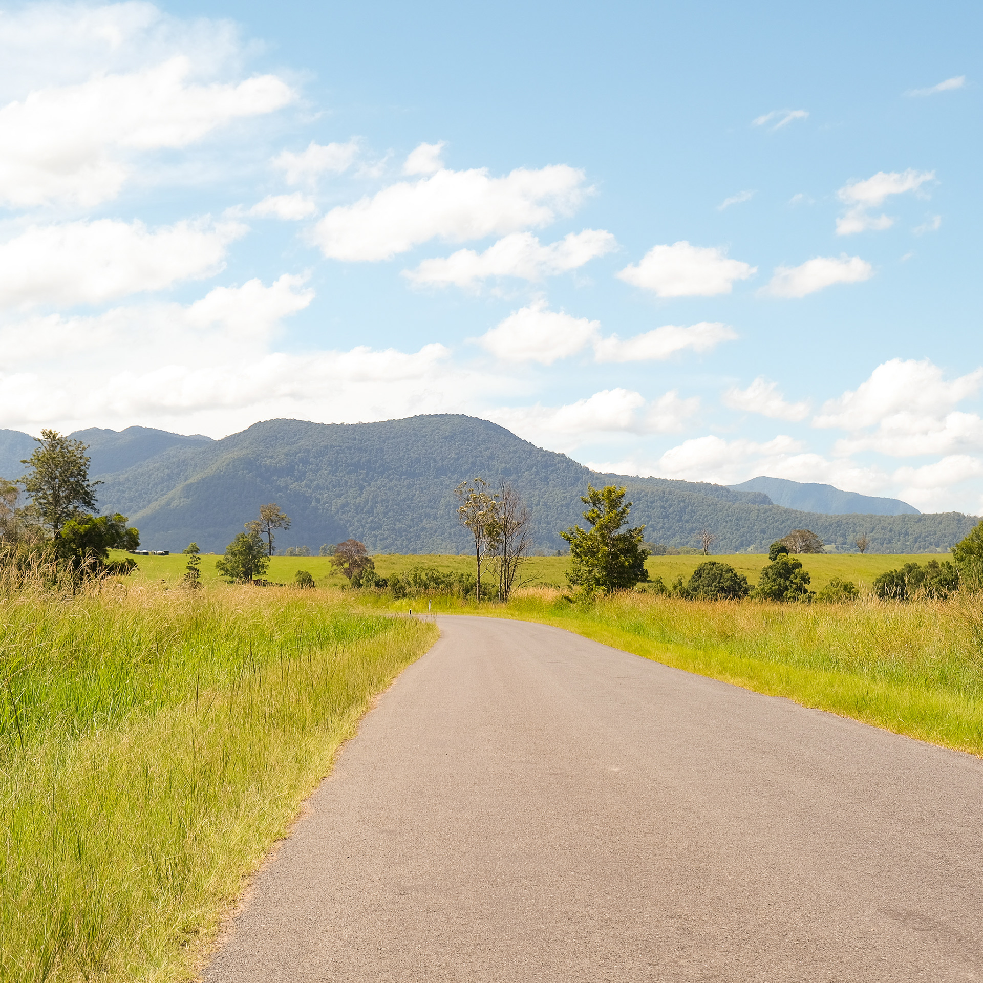 Murwillumbah, 2025