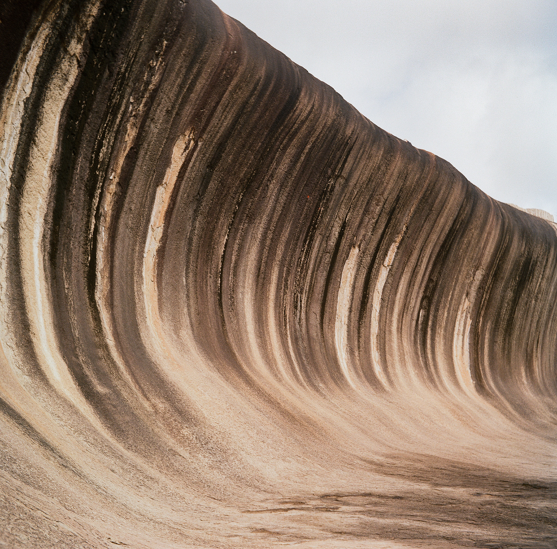 The Big Wave