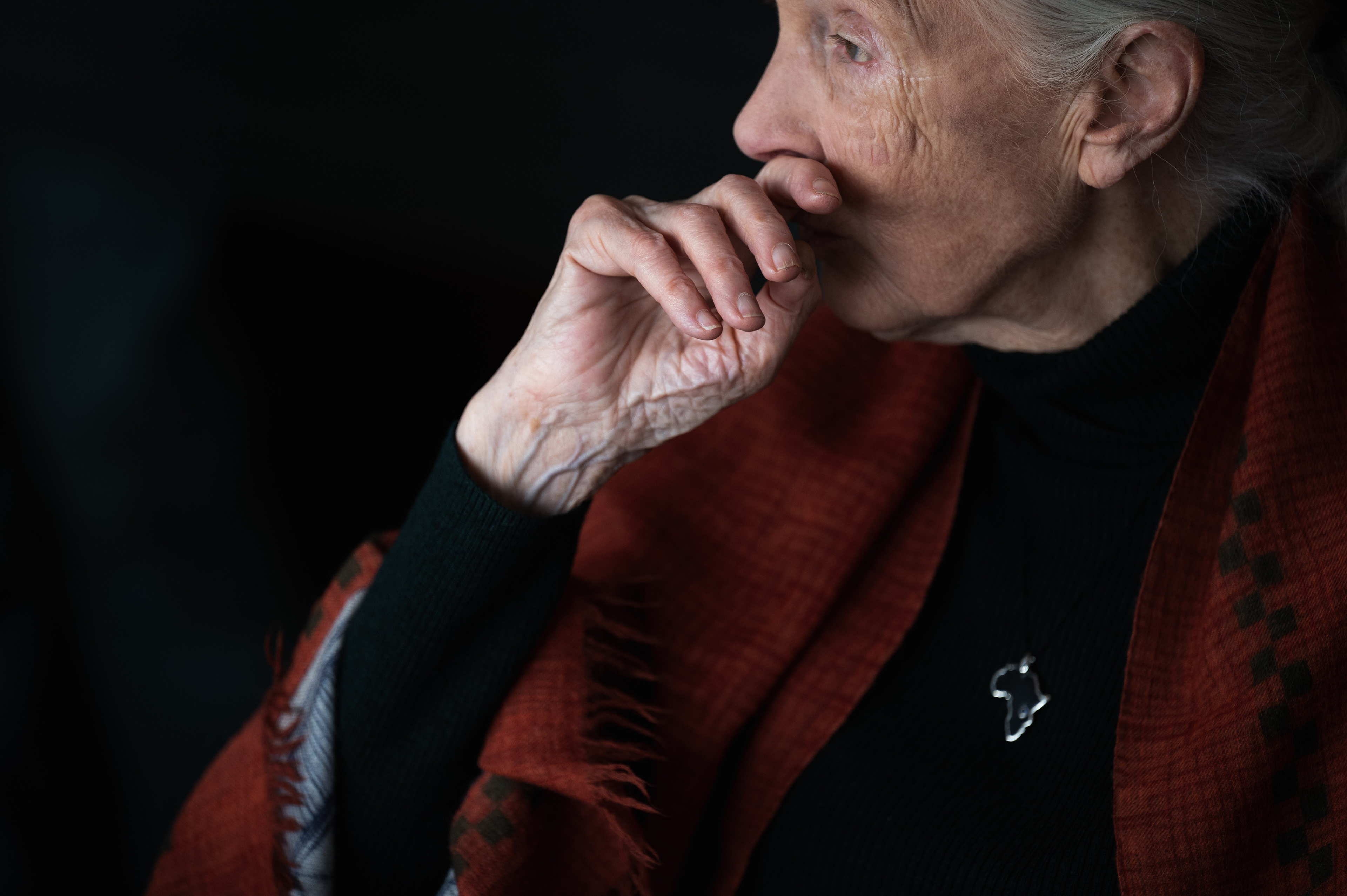 Jane Goodall