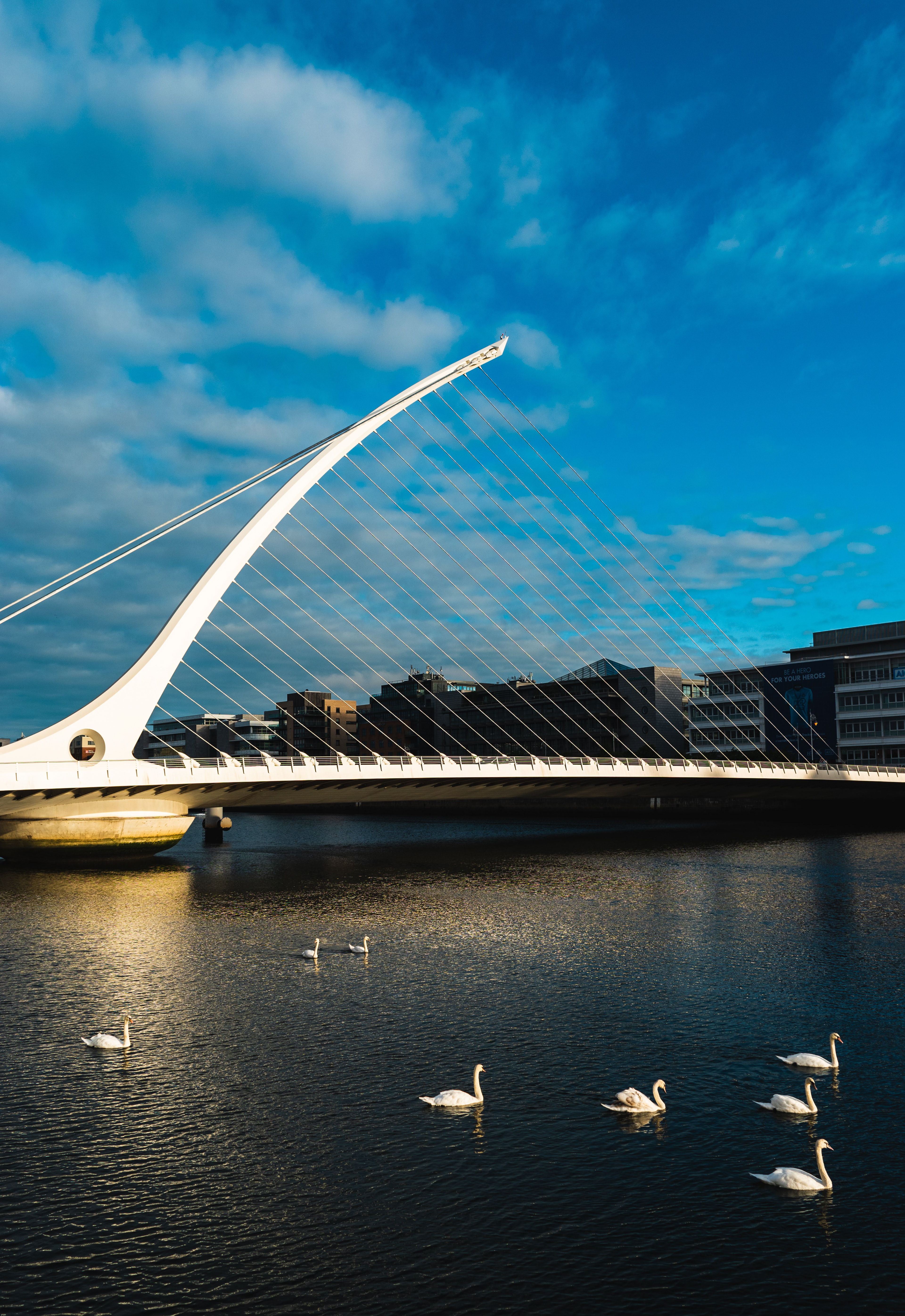 Dublin