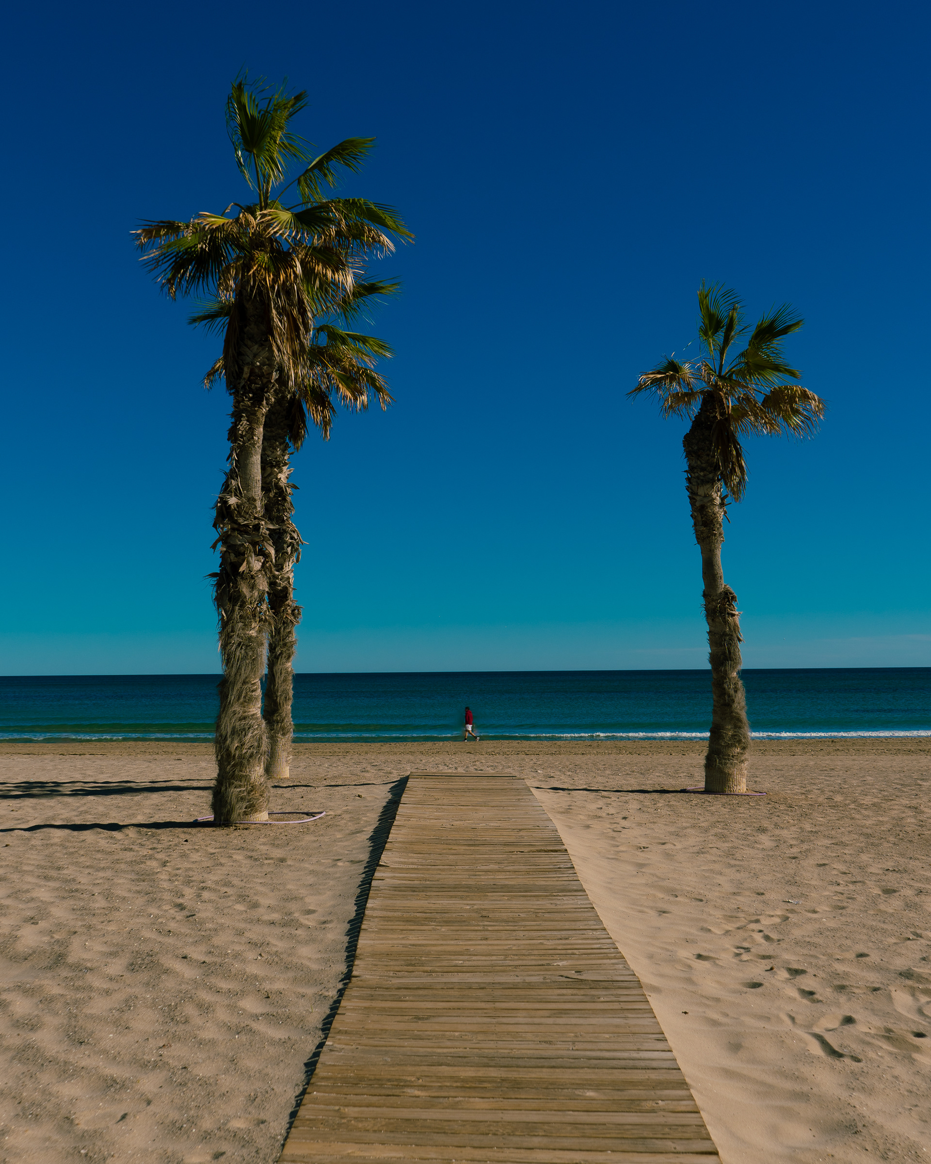 Alicante
