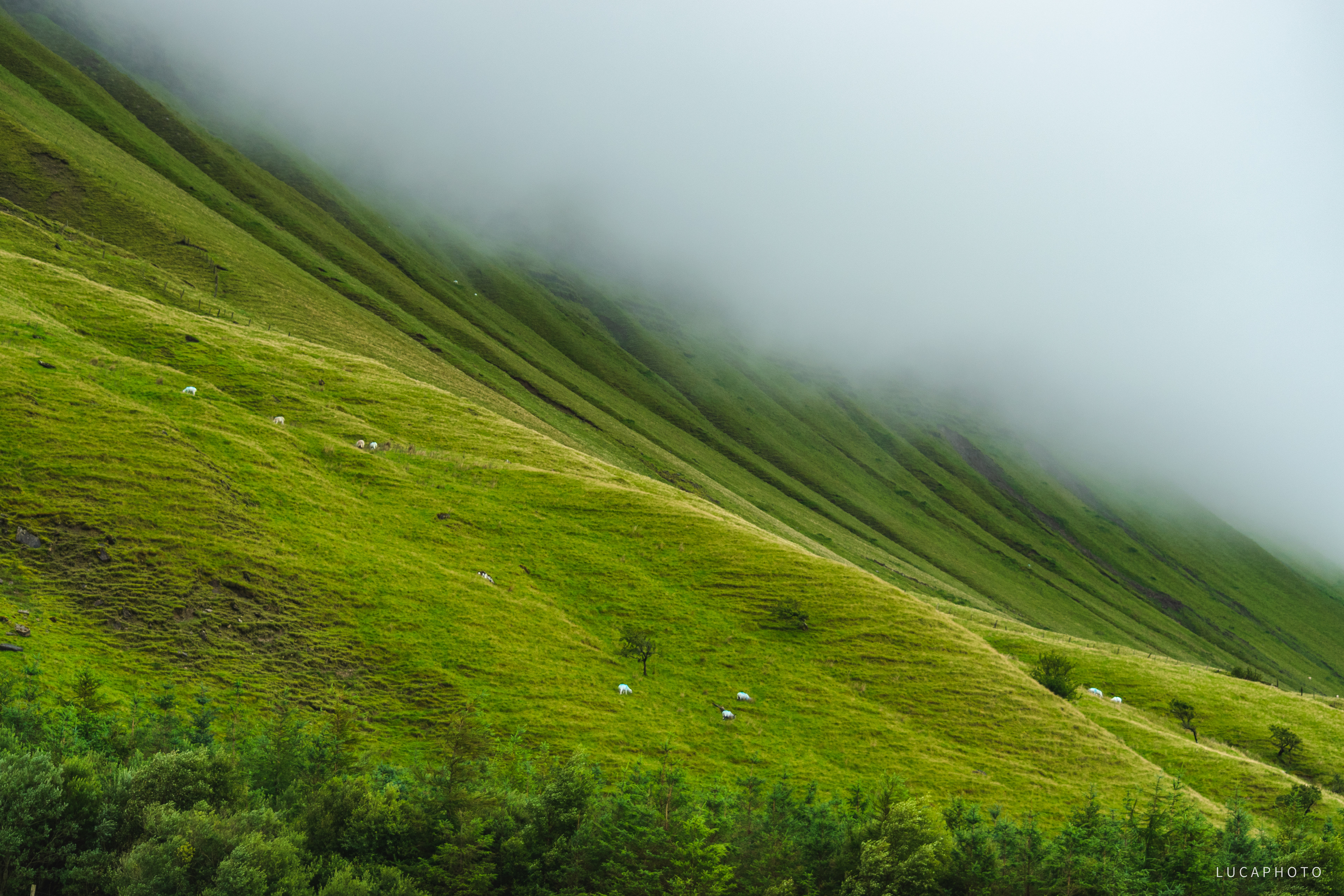 Sligo