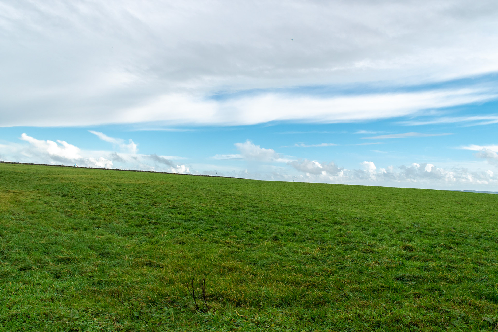 Moher