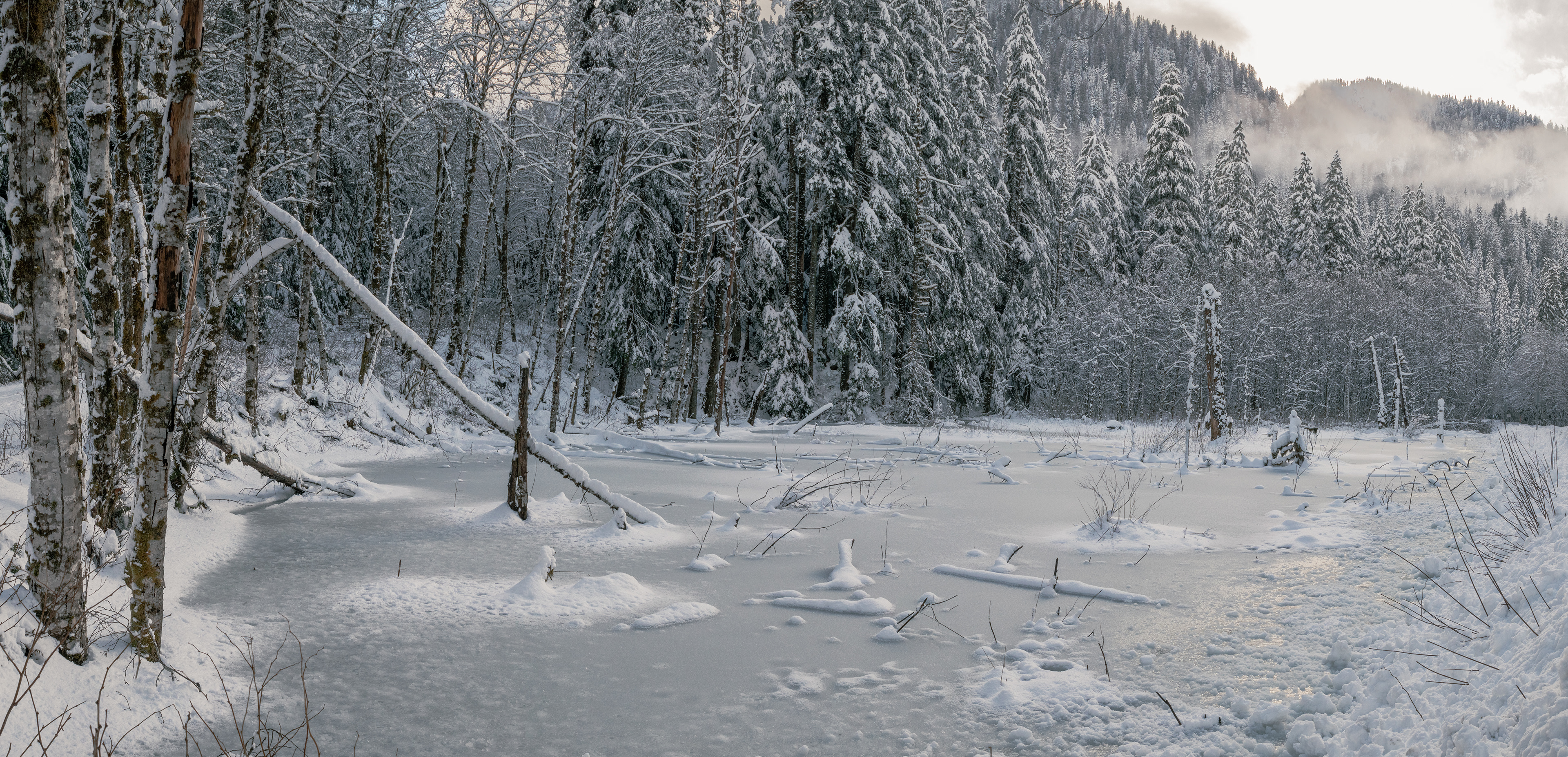 On the road to Granite Falls