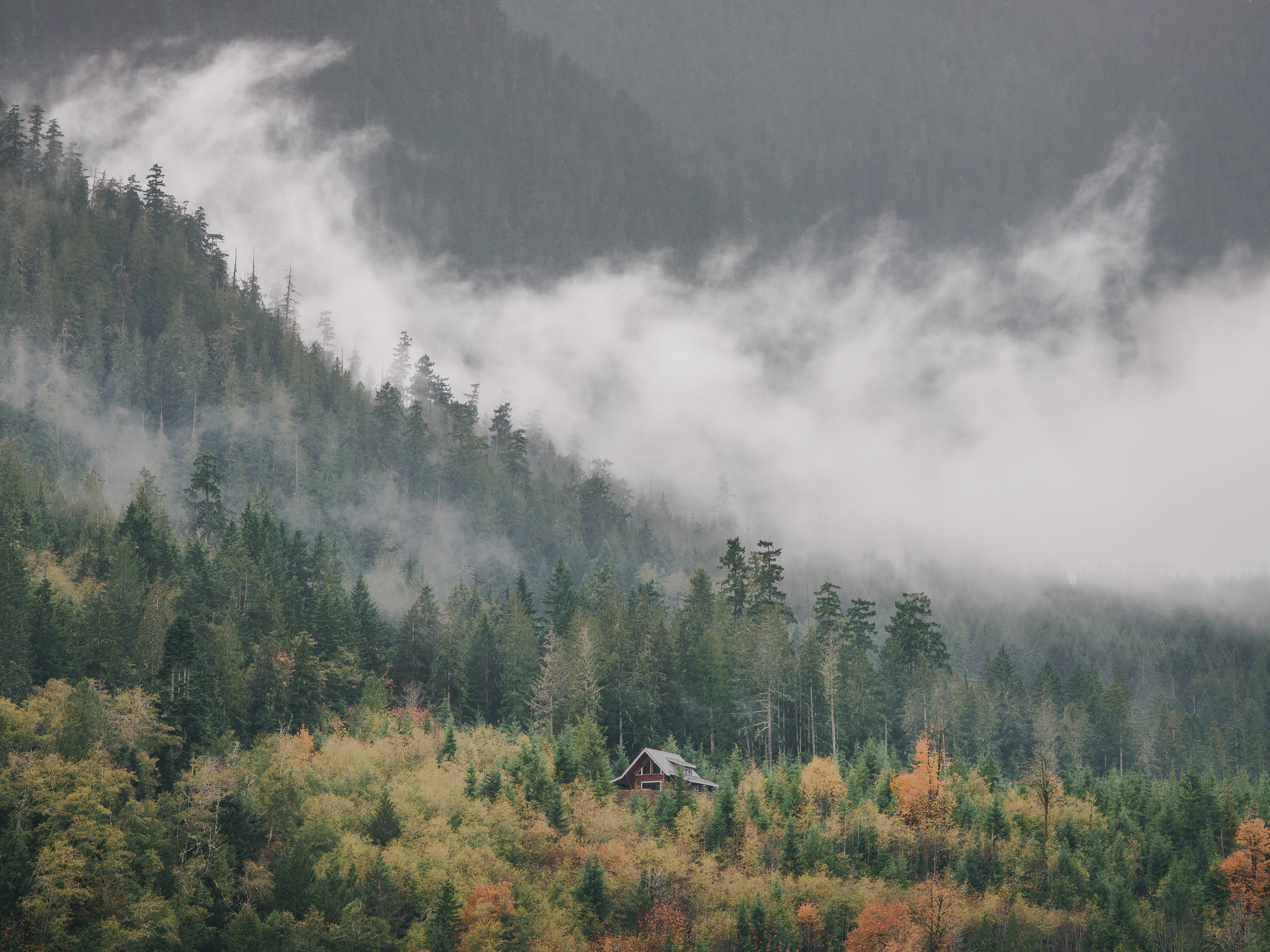 Olympic National Park