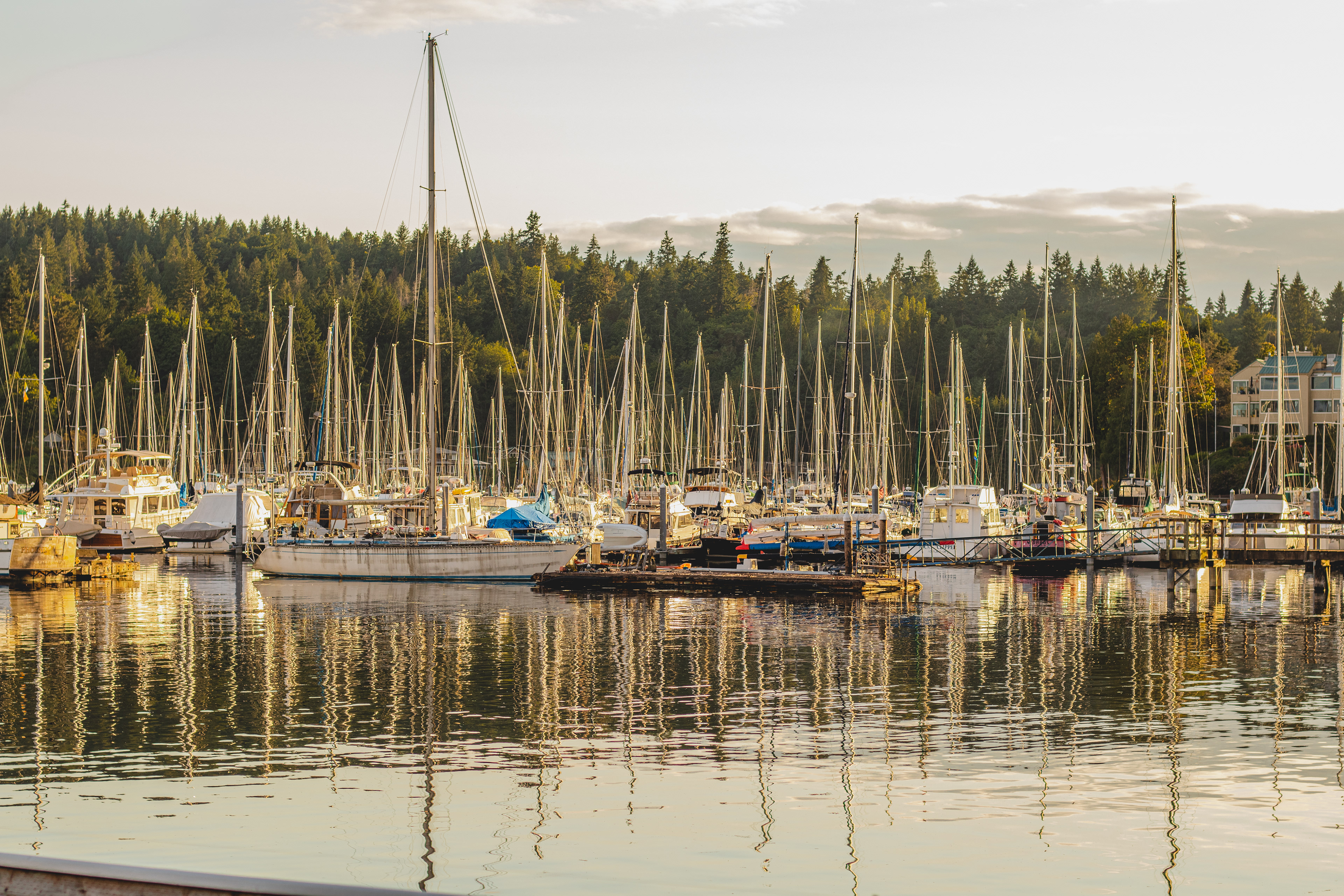 Bainbridge Yacht Club