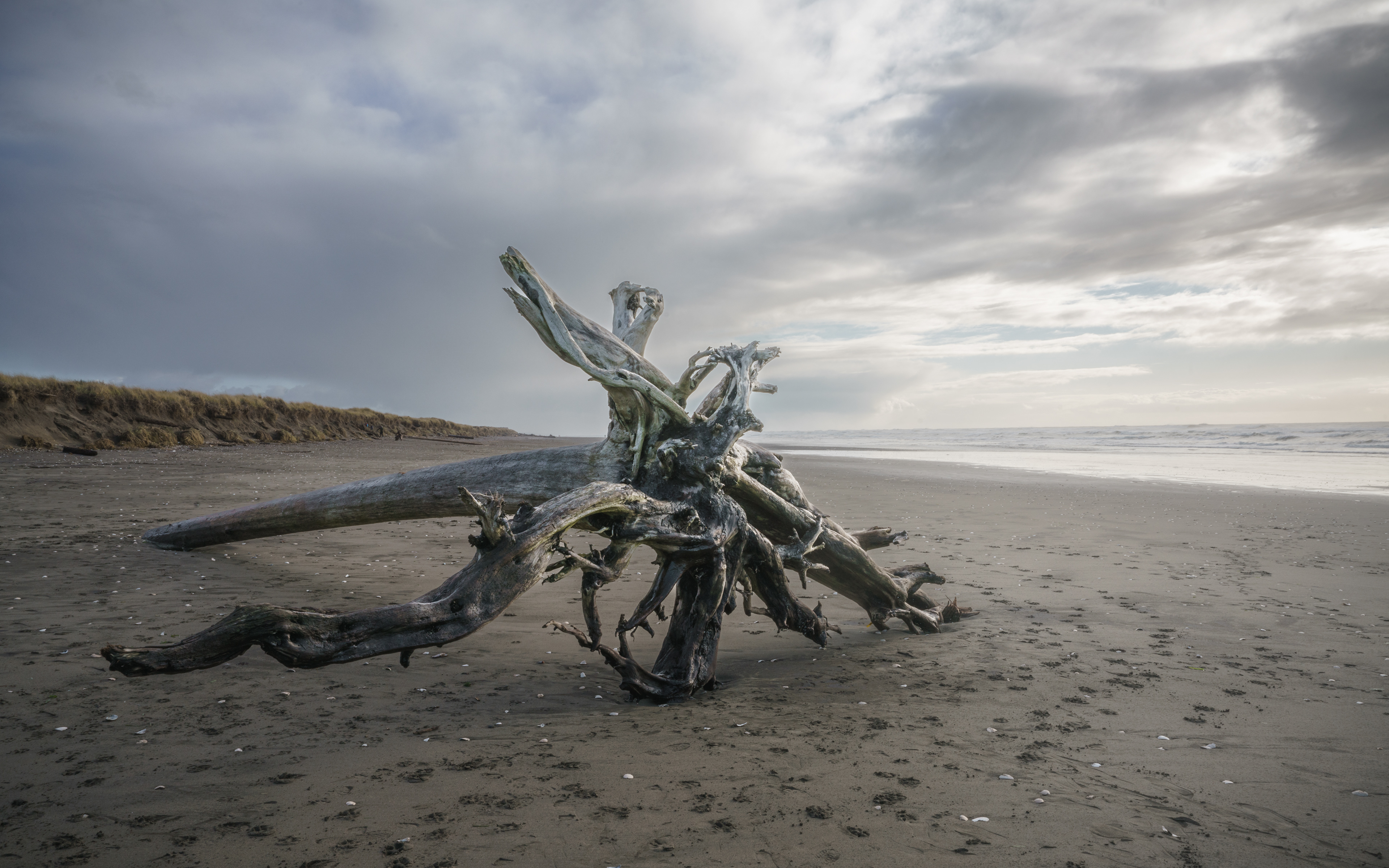 Westport: WA