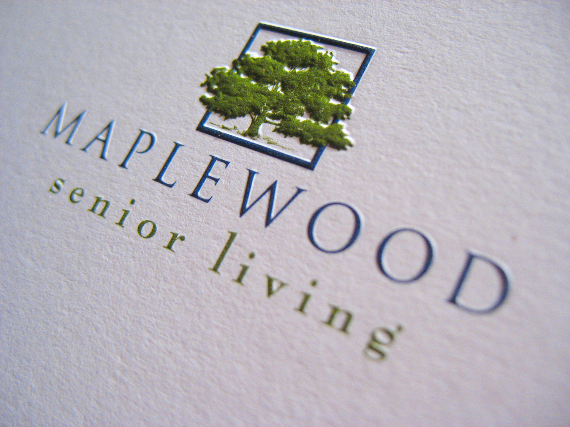 Close up photograph of a brochure with embossed elements. Designed by Steve Close.