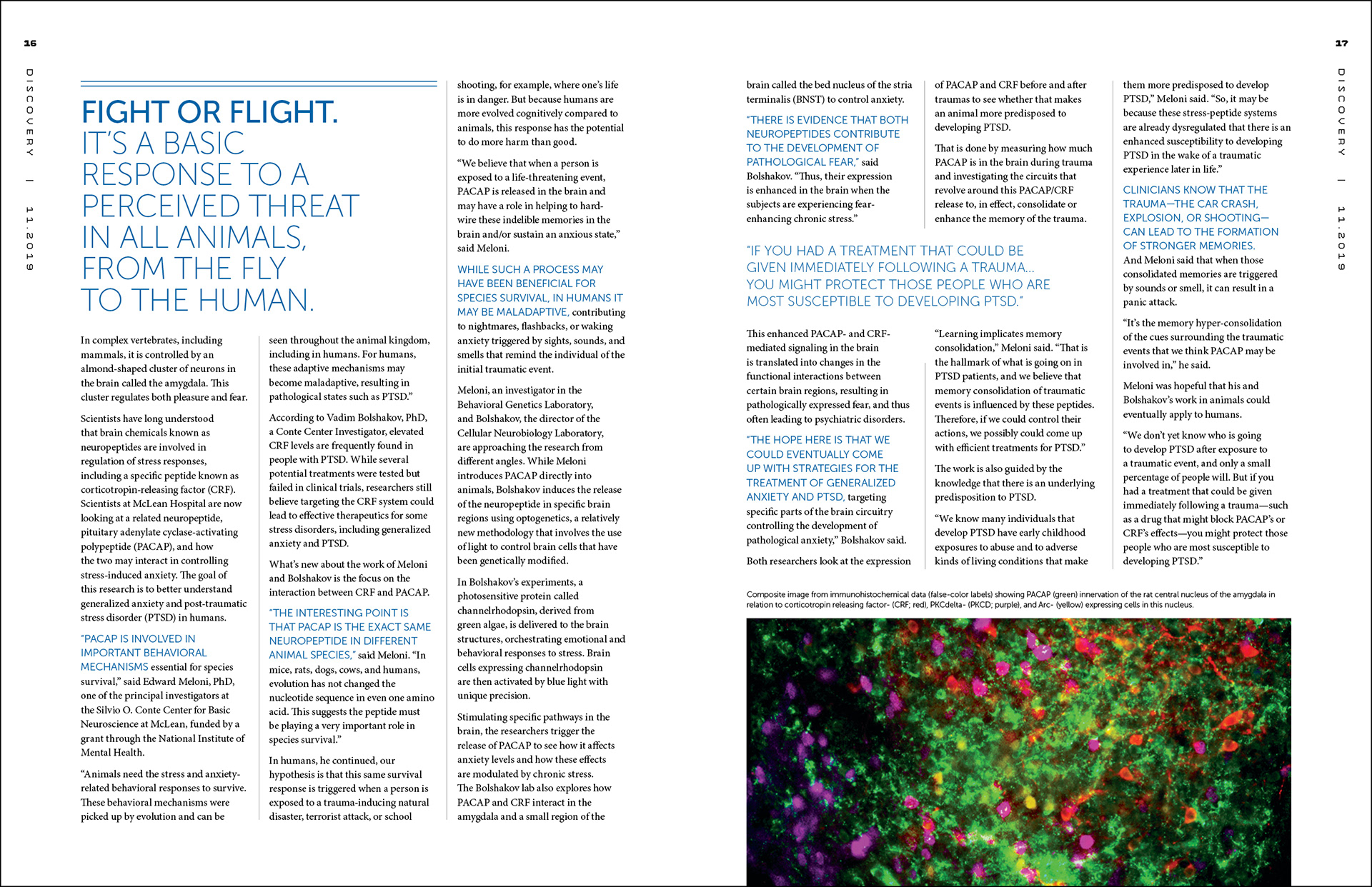 Inside spread from the 2019 issue of Discovery, McLean Hospital's science and research news magazine