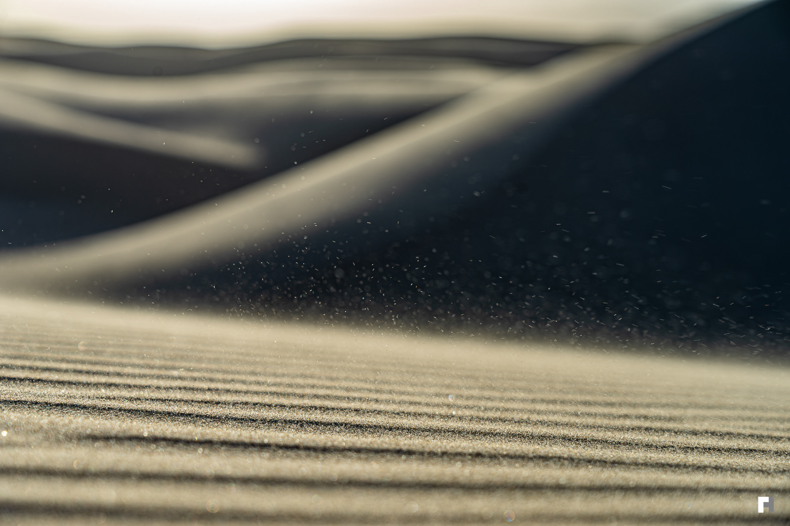 Oceano Dunes #1, California.