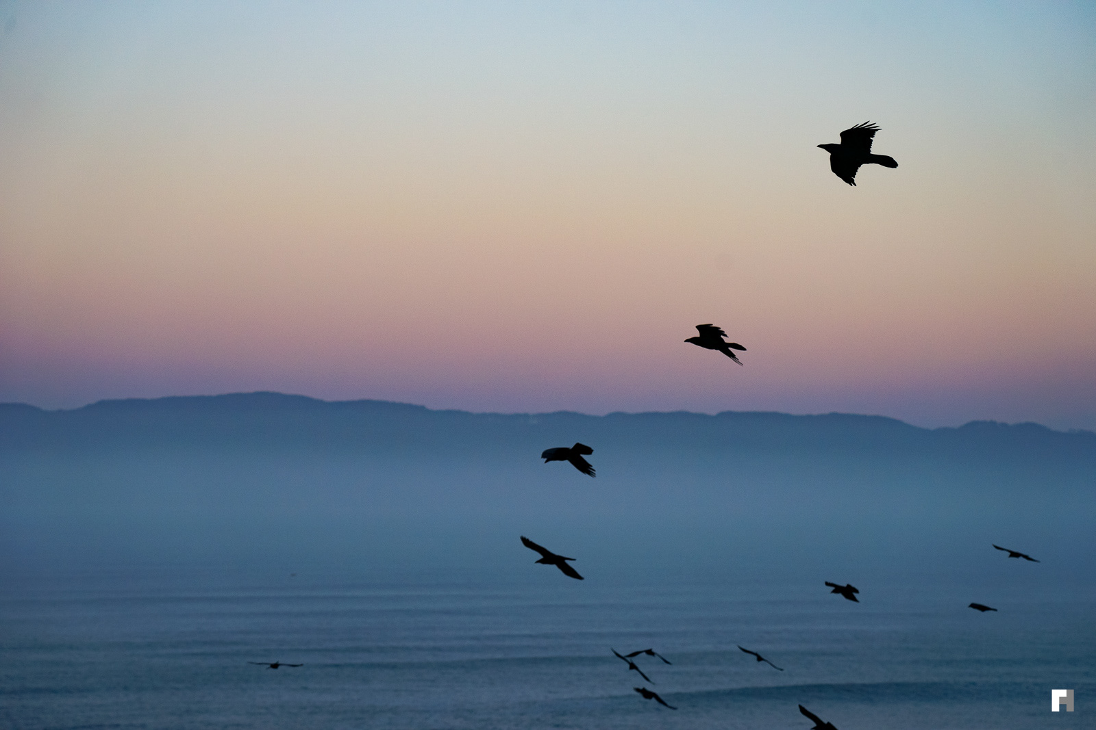 Point Reyes, California.