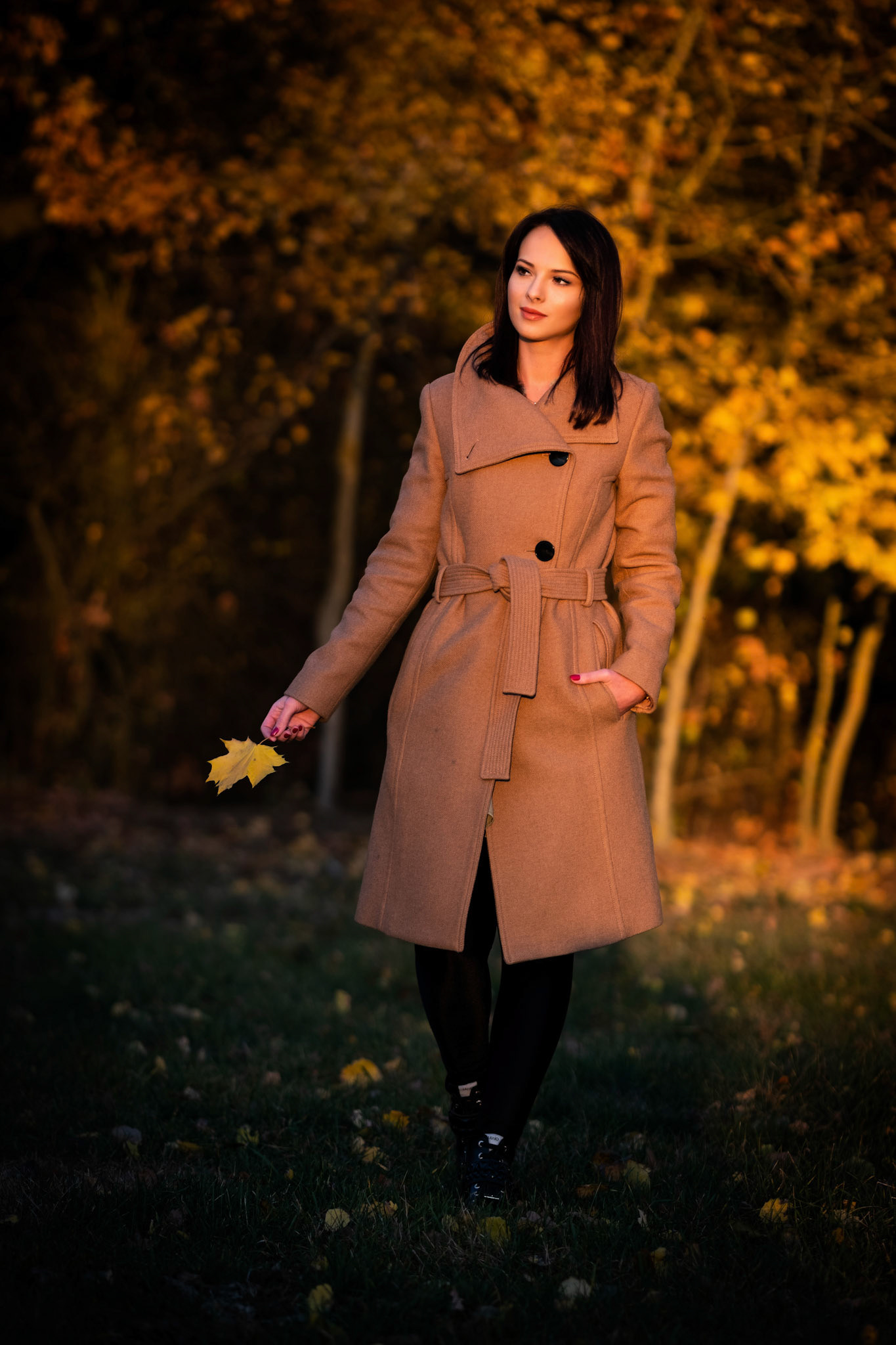 Photo by Tomasz Kocot [www.kocot.net]