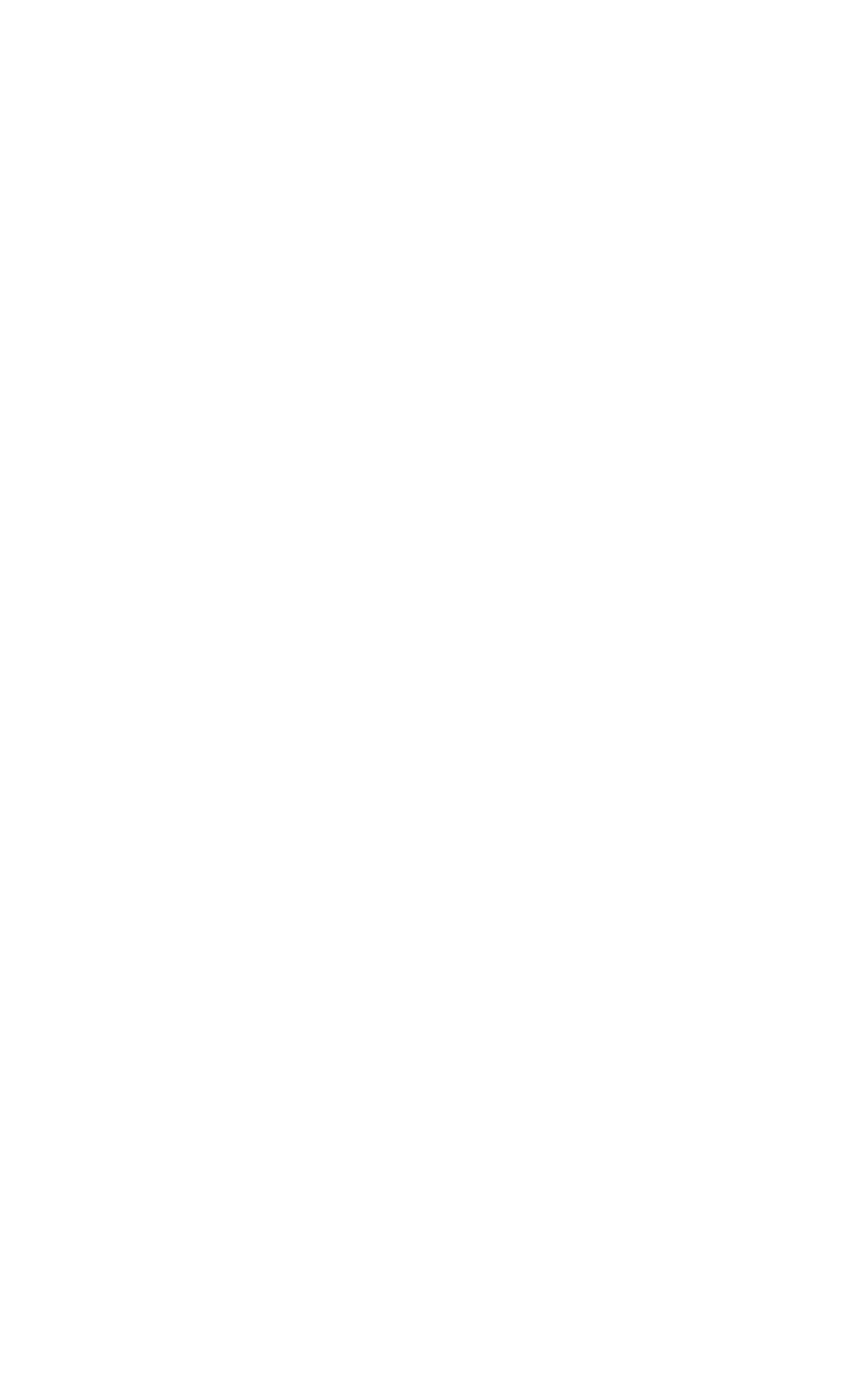 RawSky logo