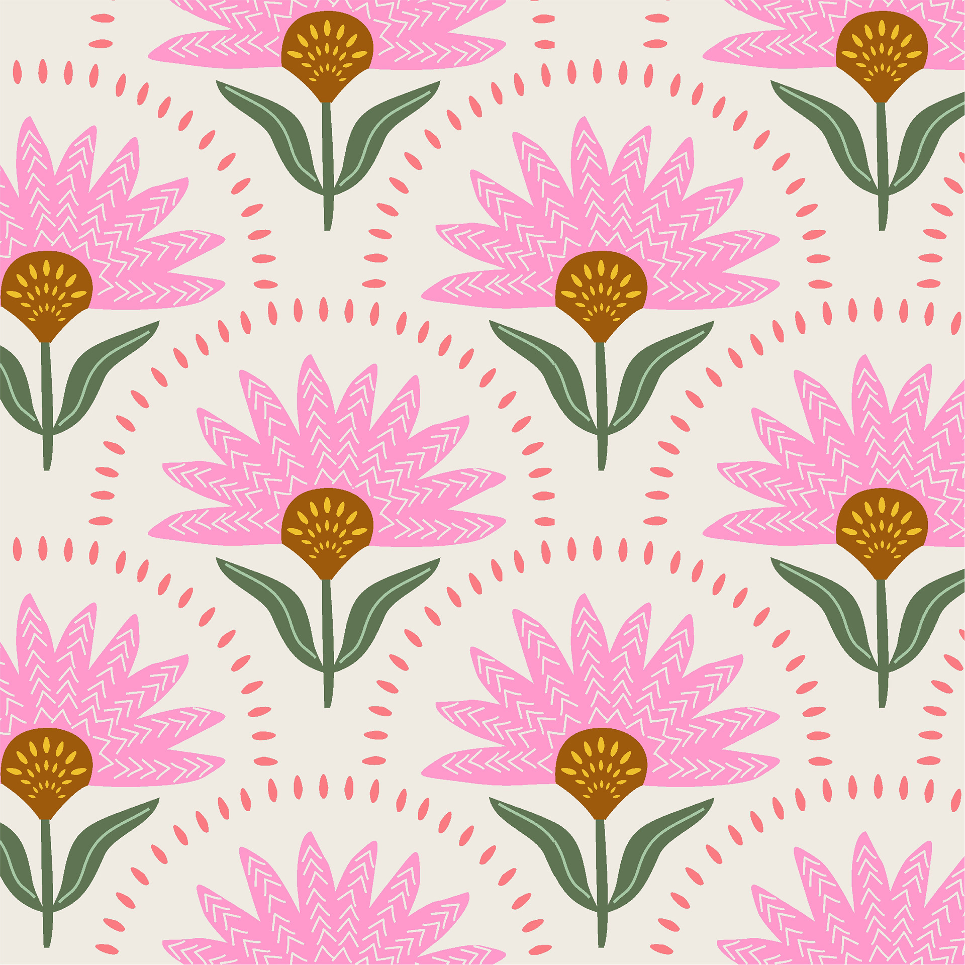 CONEFLOWER PINK