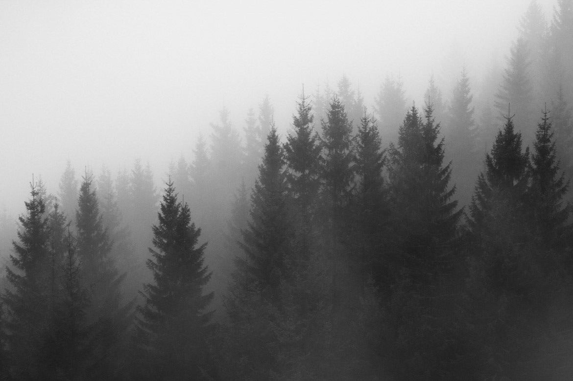 A foggy morning of a rainy day in western Norway.