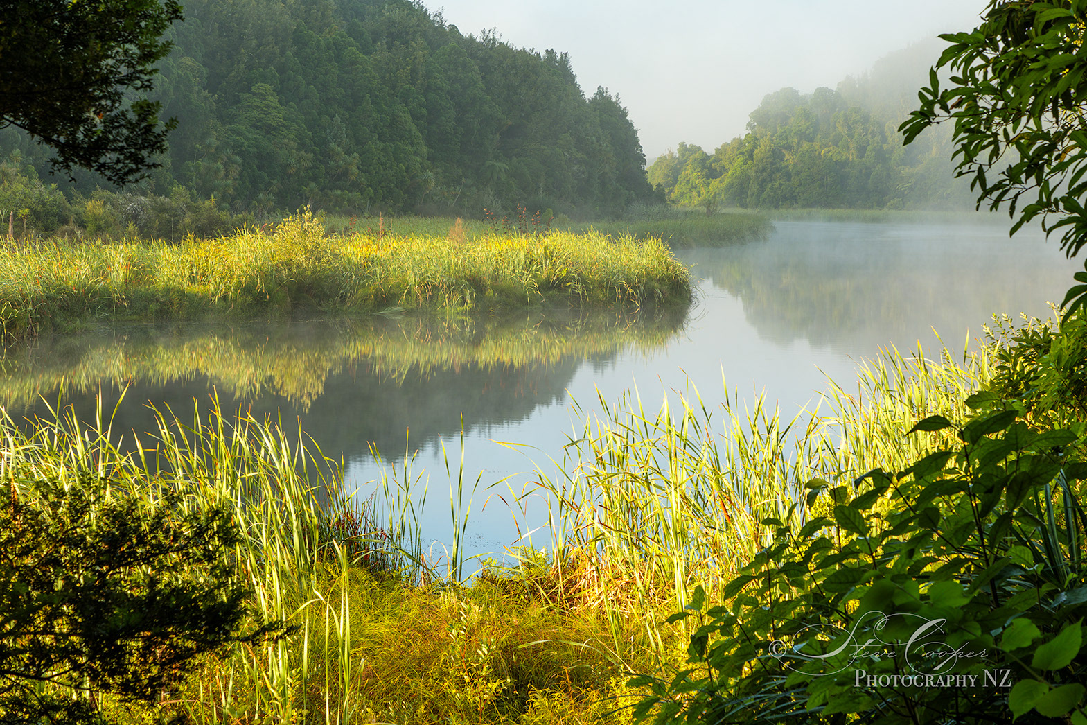 Lake Rotokare Mist