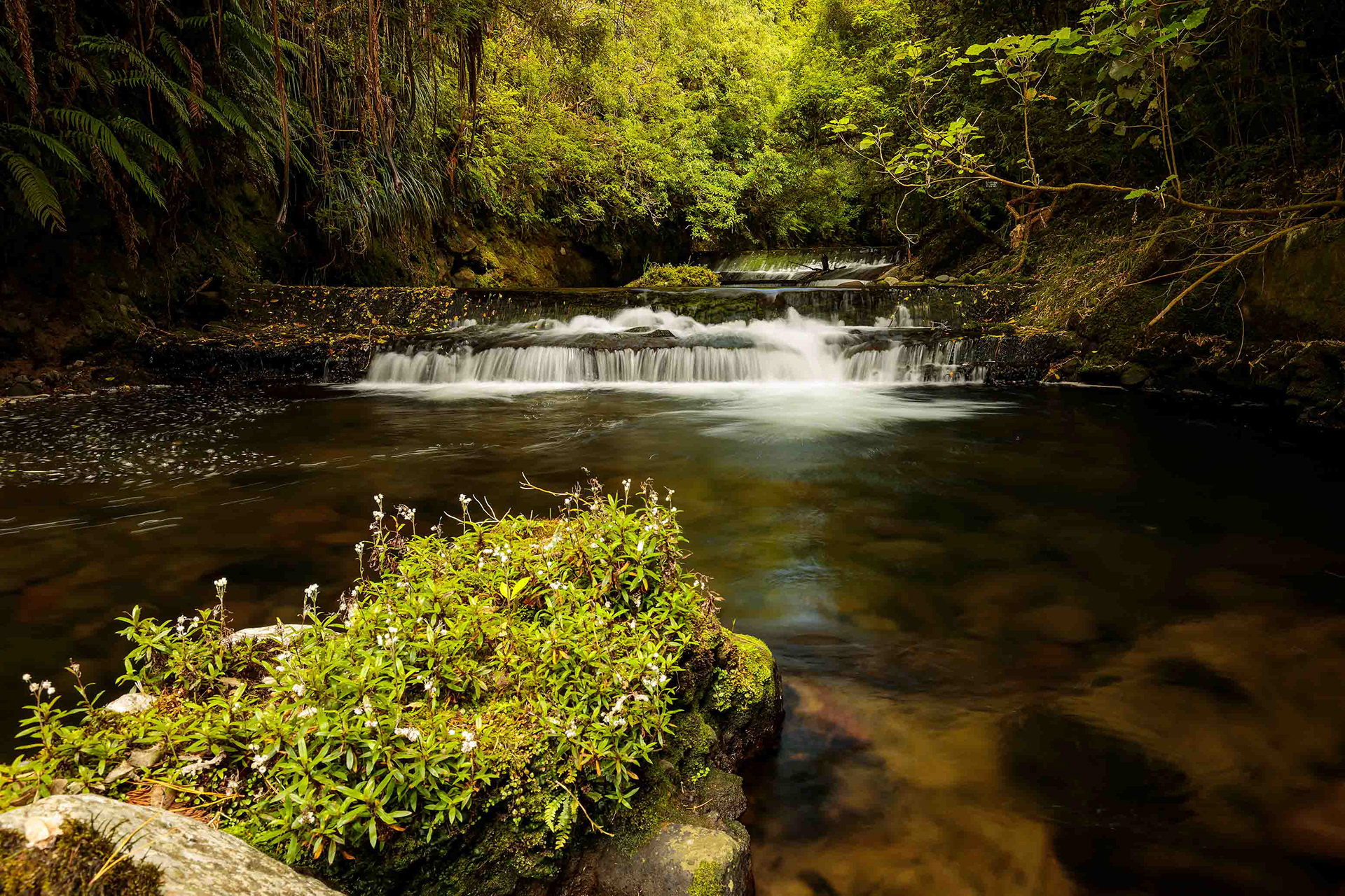 Cardiff Wier 2
