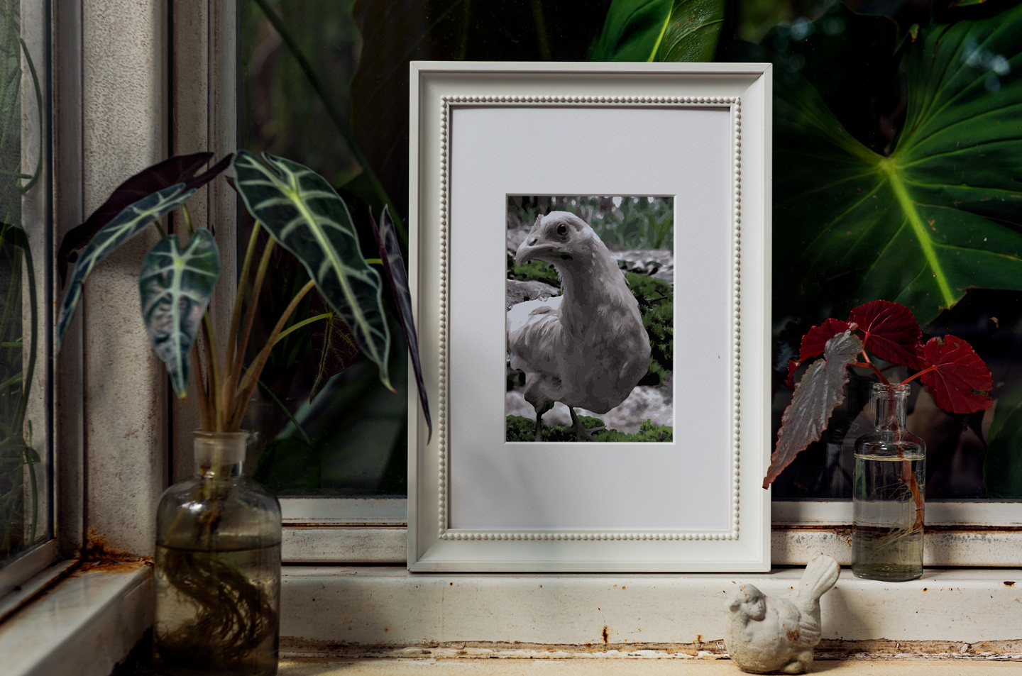 A mock up of a white photoframe sitting on a windowsill surrounded by plants. The picture inside the frame is a digital drawing of a white hen by the name of Lola staring out at the viewer with her head slightly turned to the left. 