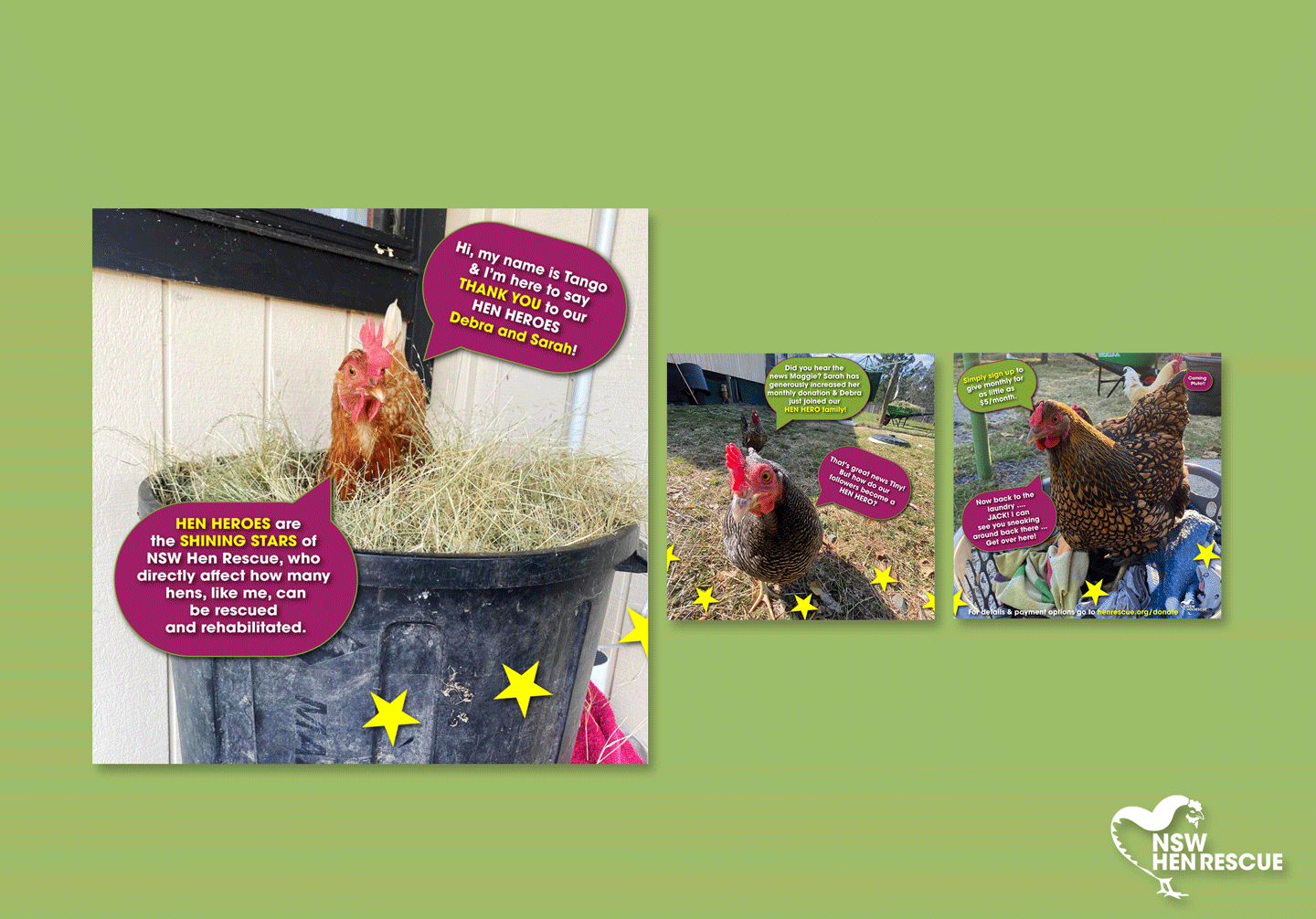 Social media template mock up on light green background. Features chickens from the Hen Haven family talking about the Hen Hero program. 