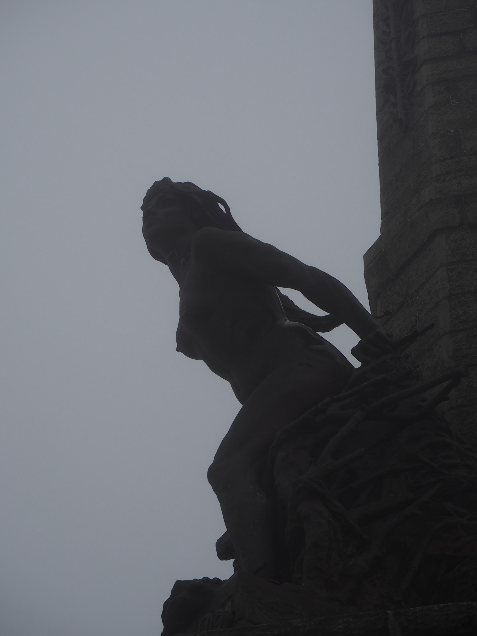 Siren Silhouette