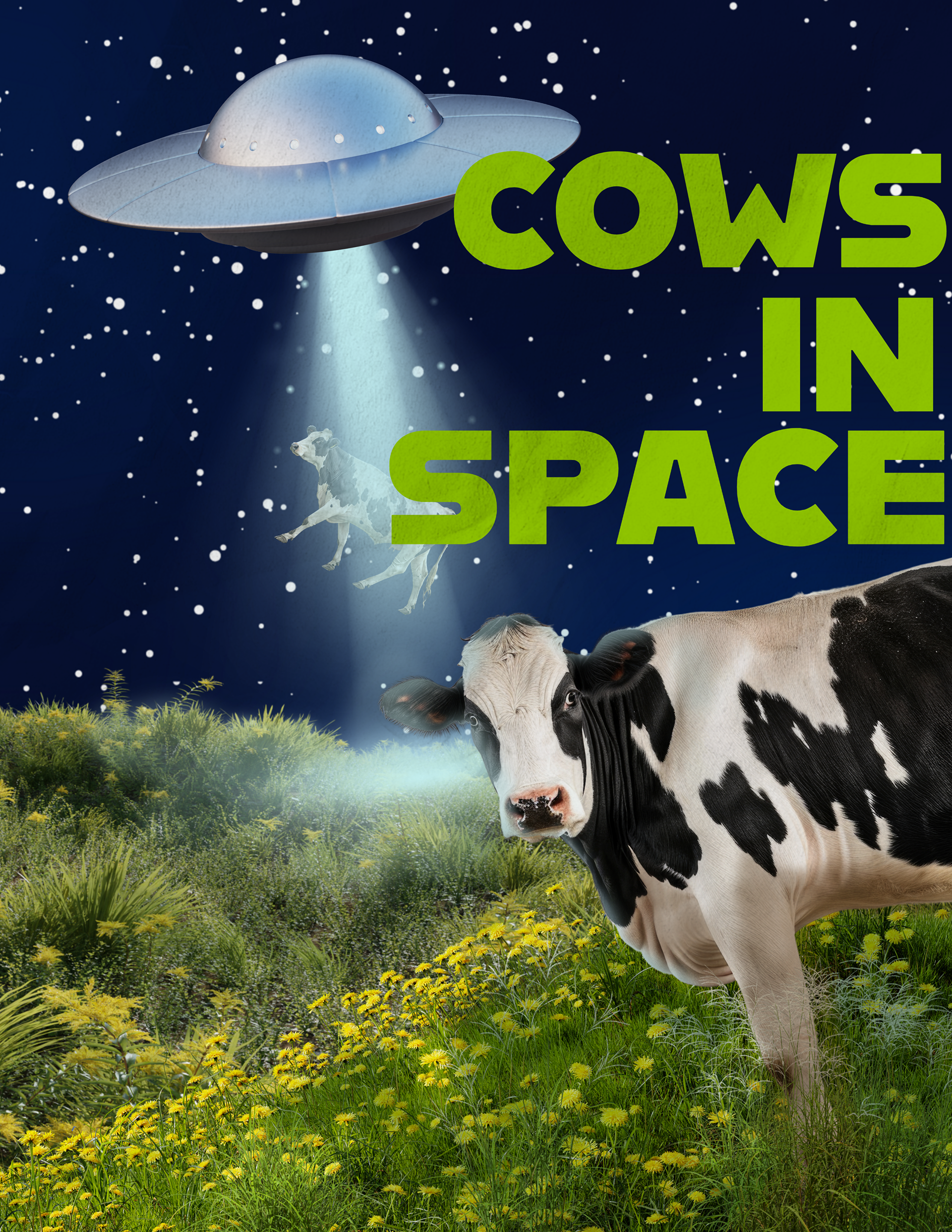 Cows in Space - Adobe Express/Photoshop