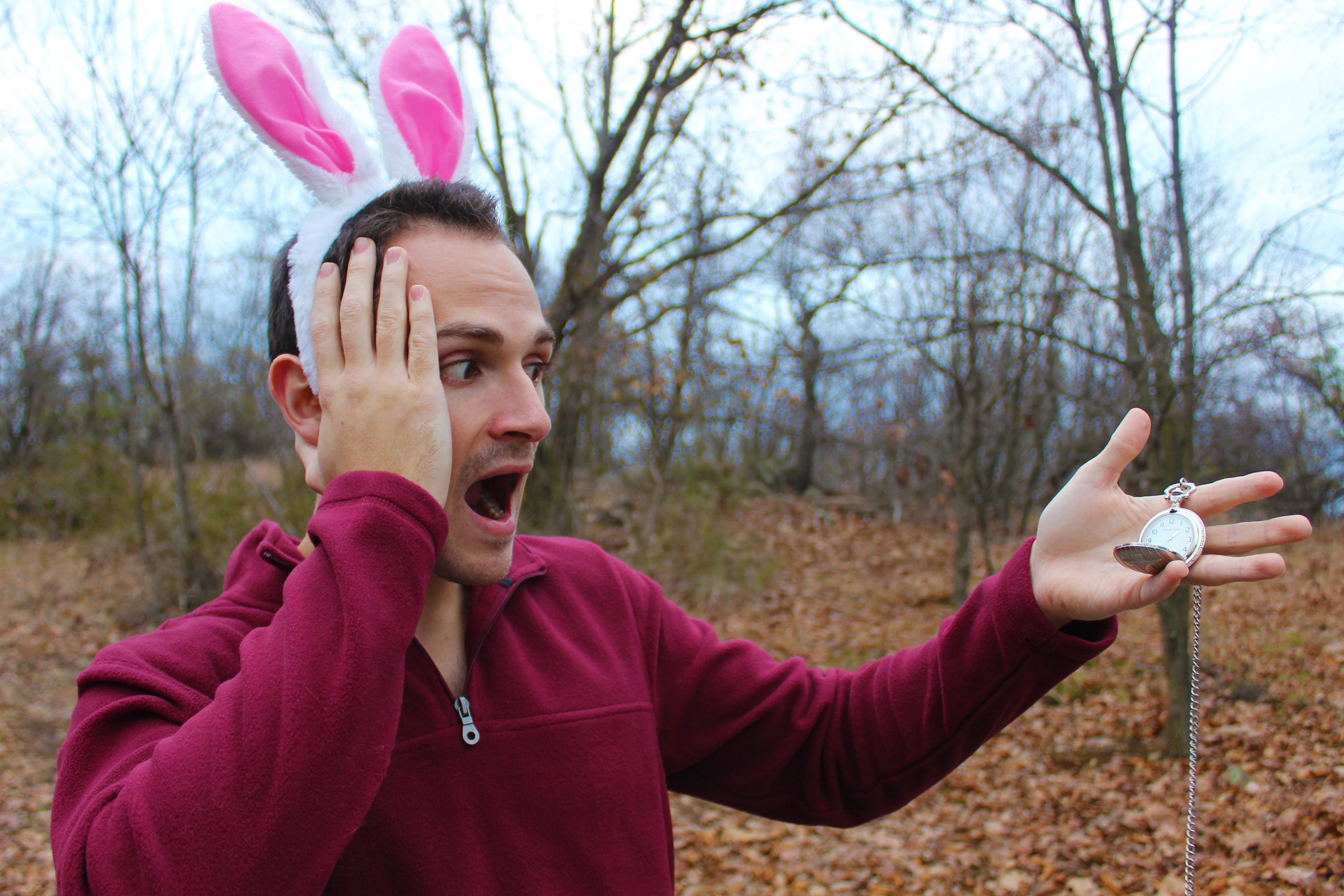 Alice in Wonderland Project