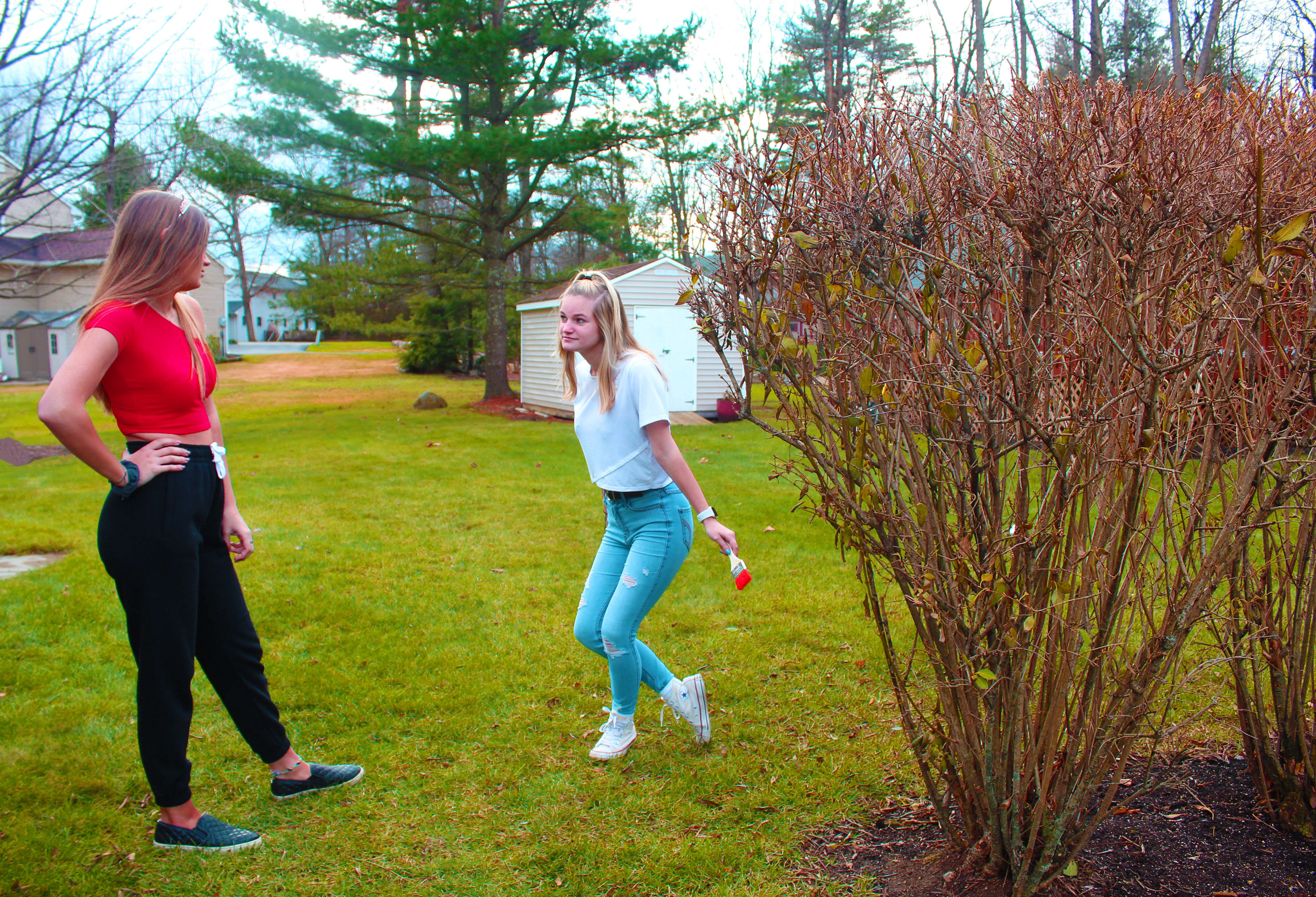 Alice in Wonderland Project