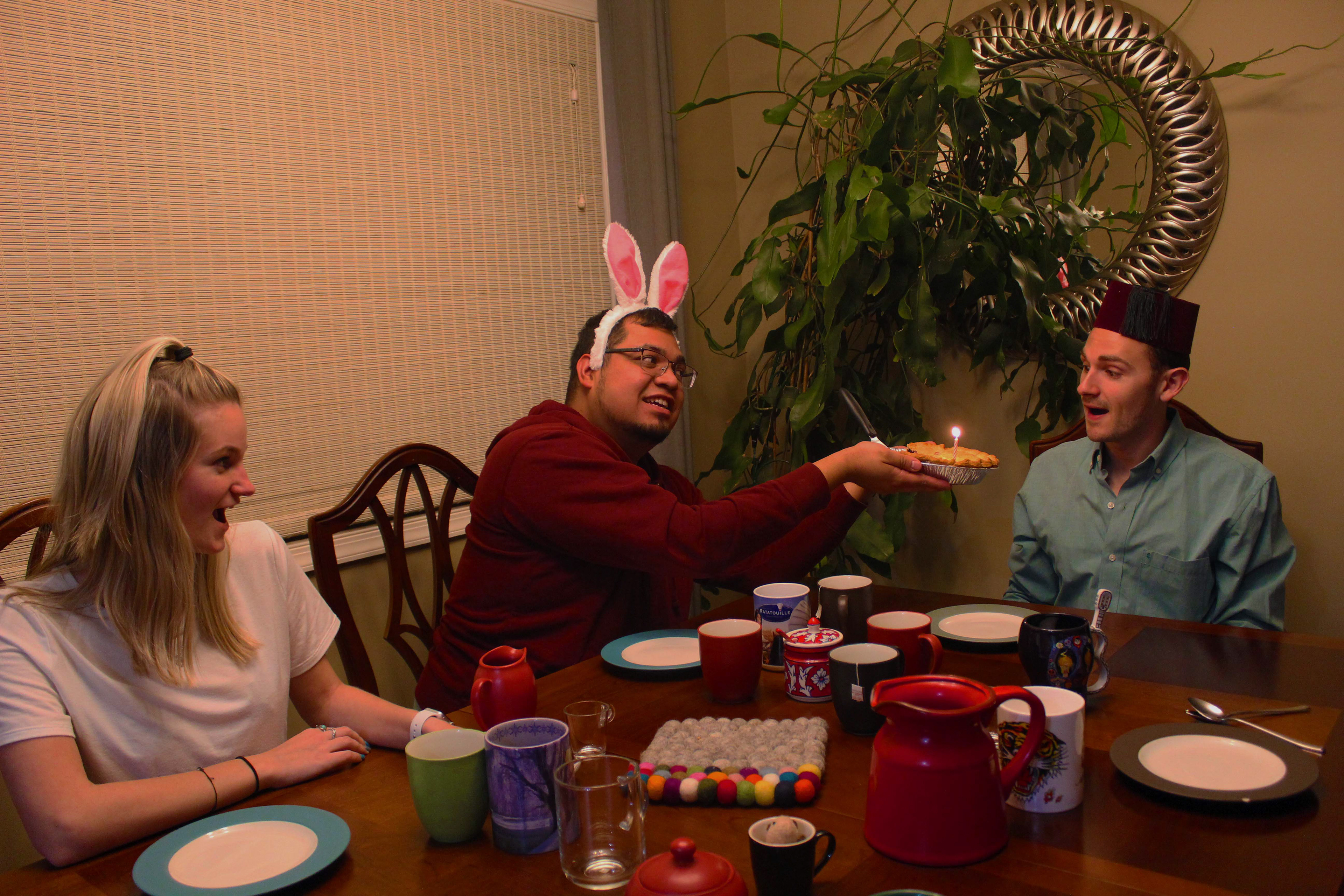 Alice in Wonderland Project