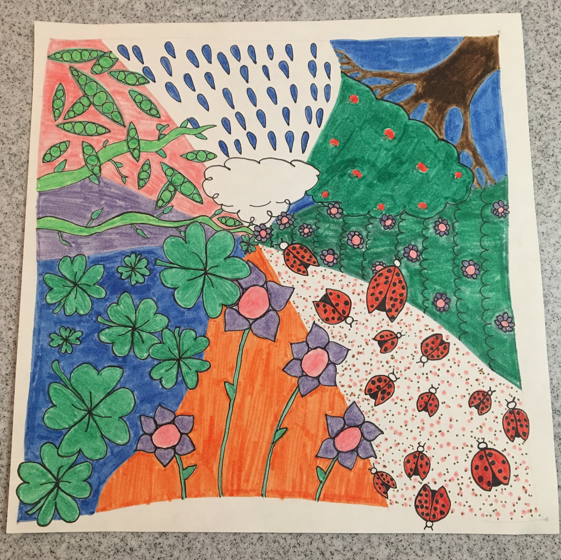 Markers