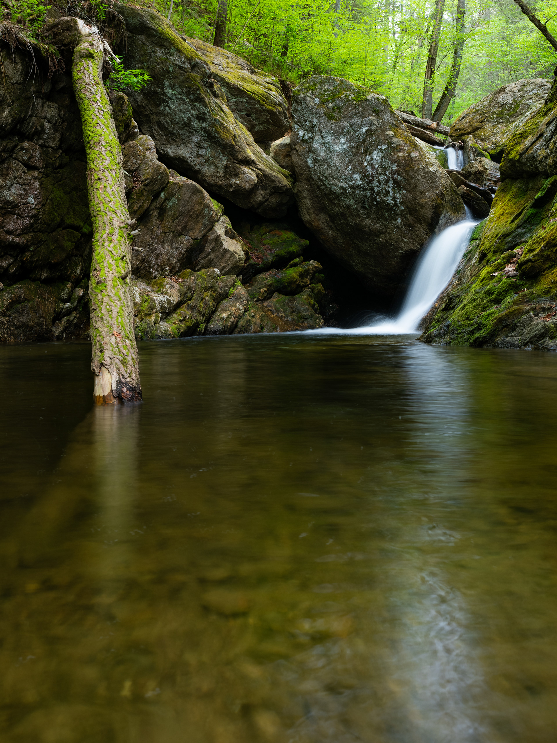 Spruce Brook Falls