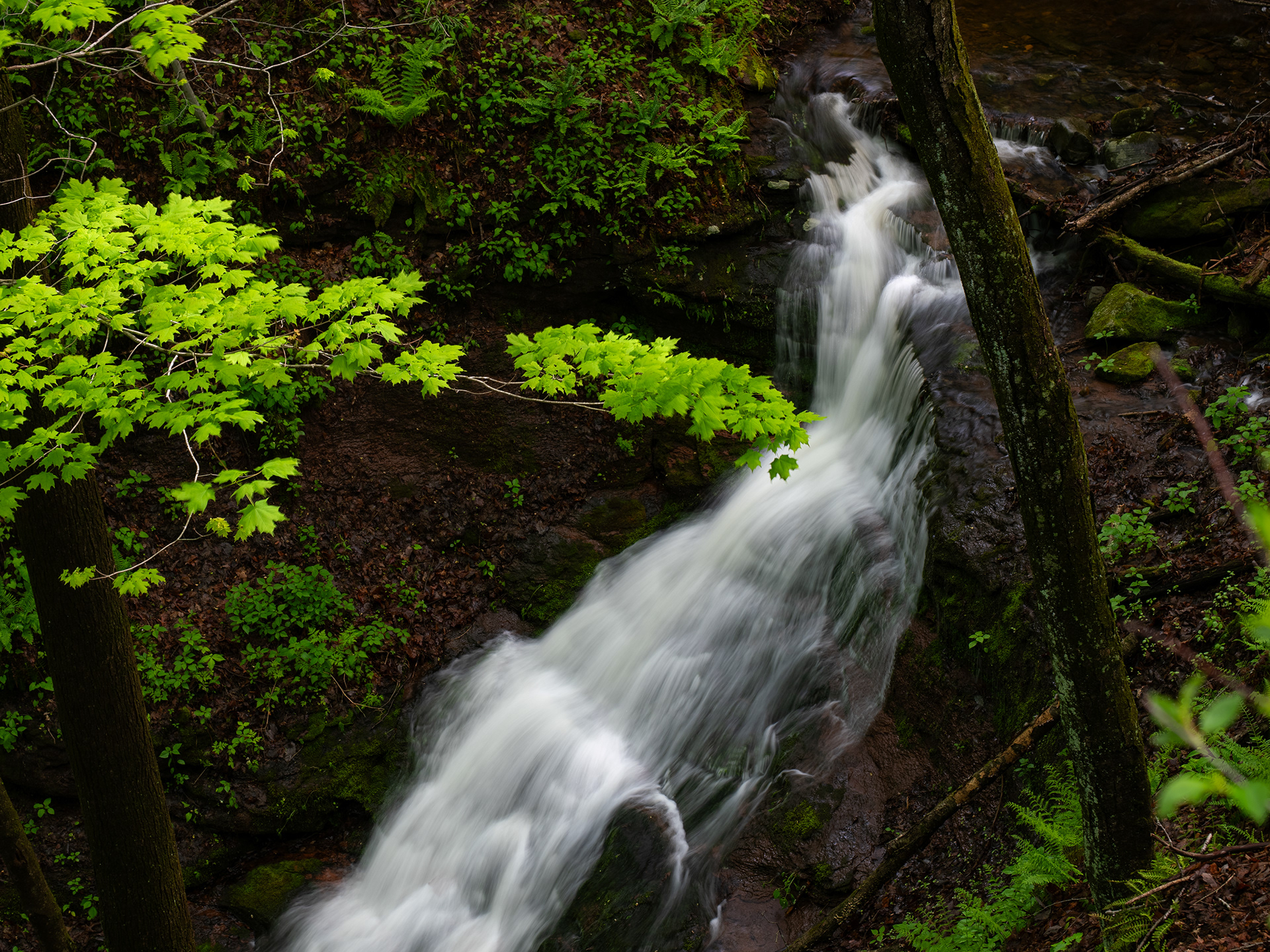 Sleeping Giant State Park