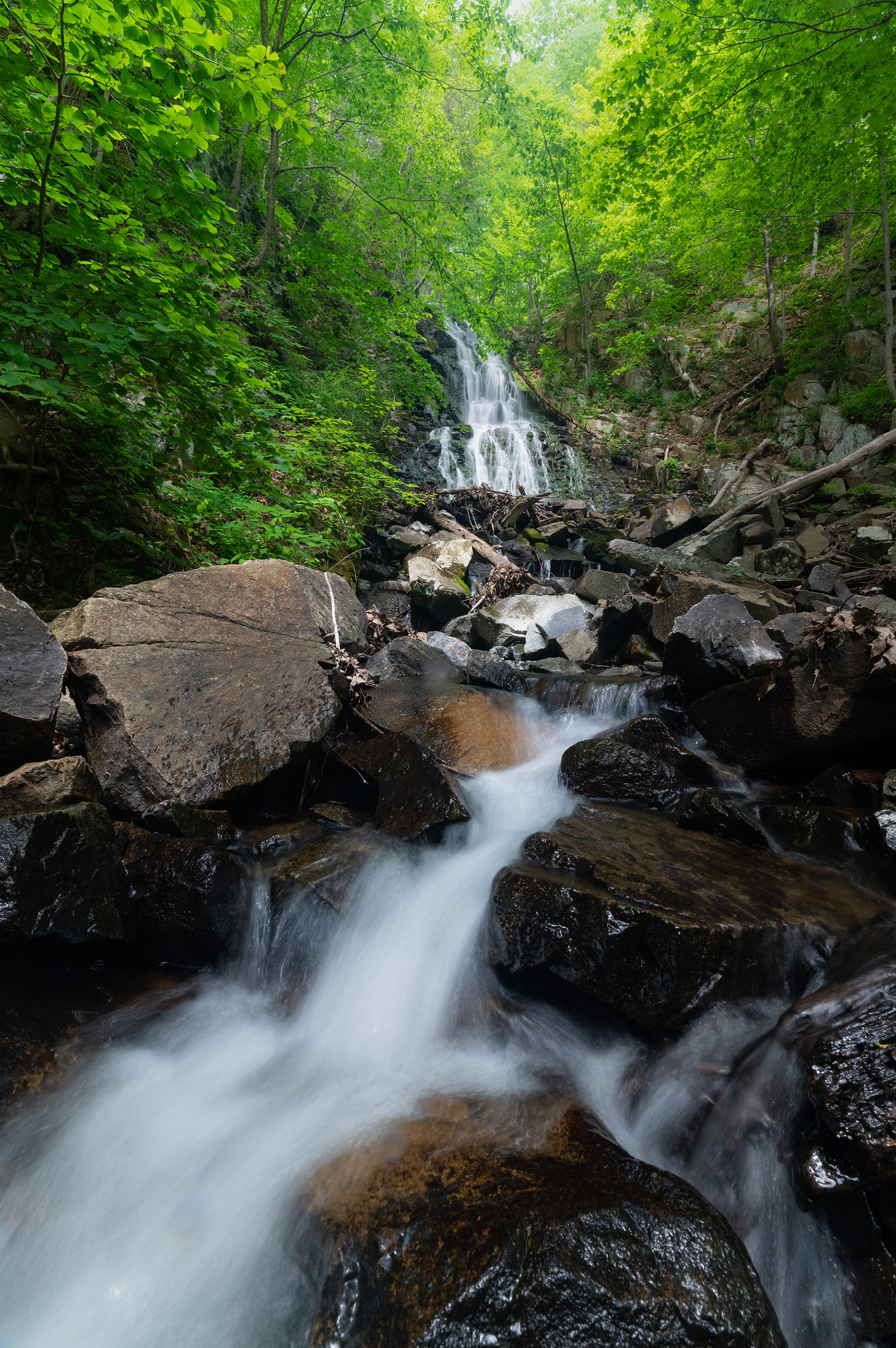 Roaring Brook Falls