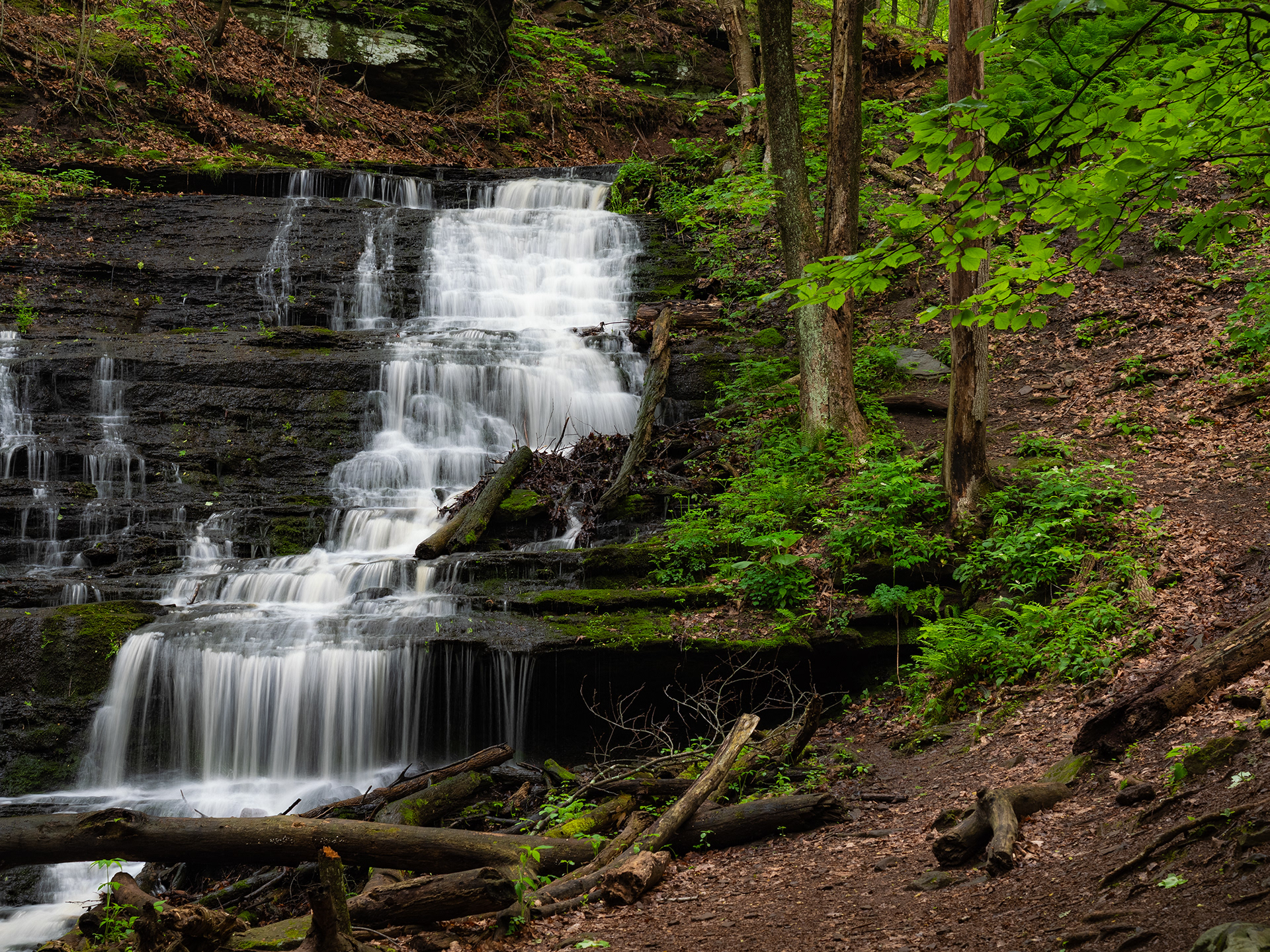 Wadsworth Little Falls